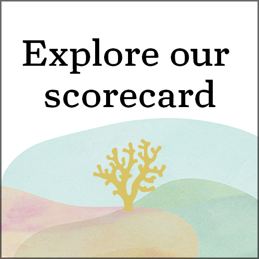Explore our scorecard 2026.png