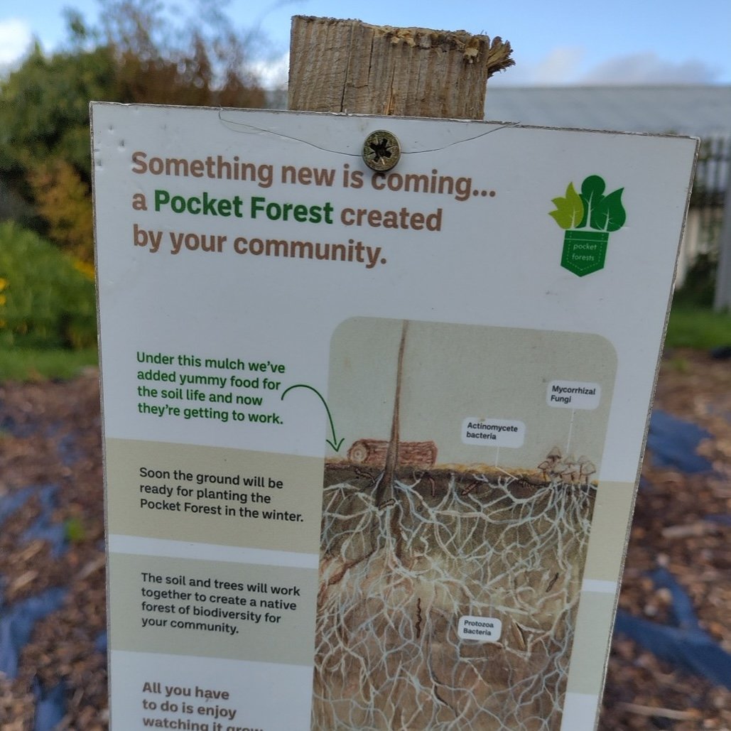 Figure 3: Pocket Forest community sign. Photo Source: Holly Marriott Webb