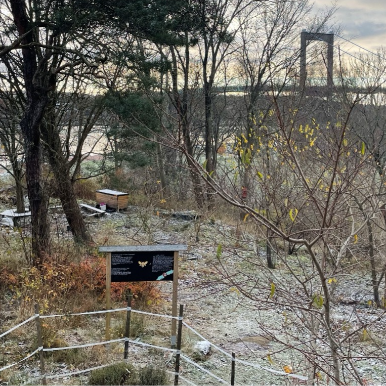 Figure 3: View over the Färjenäs Forest Garden. Photo source: Lovisa Carli