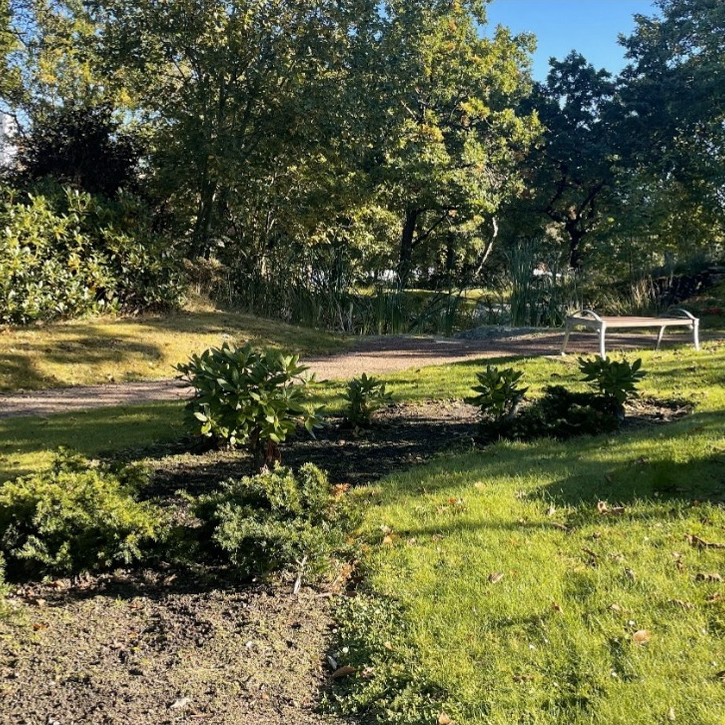 Figure 1: The Re-Use Park at Medicinareberget. Photo source: Lovisa Carli