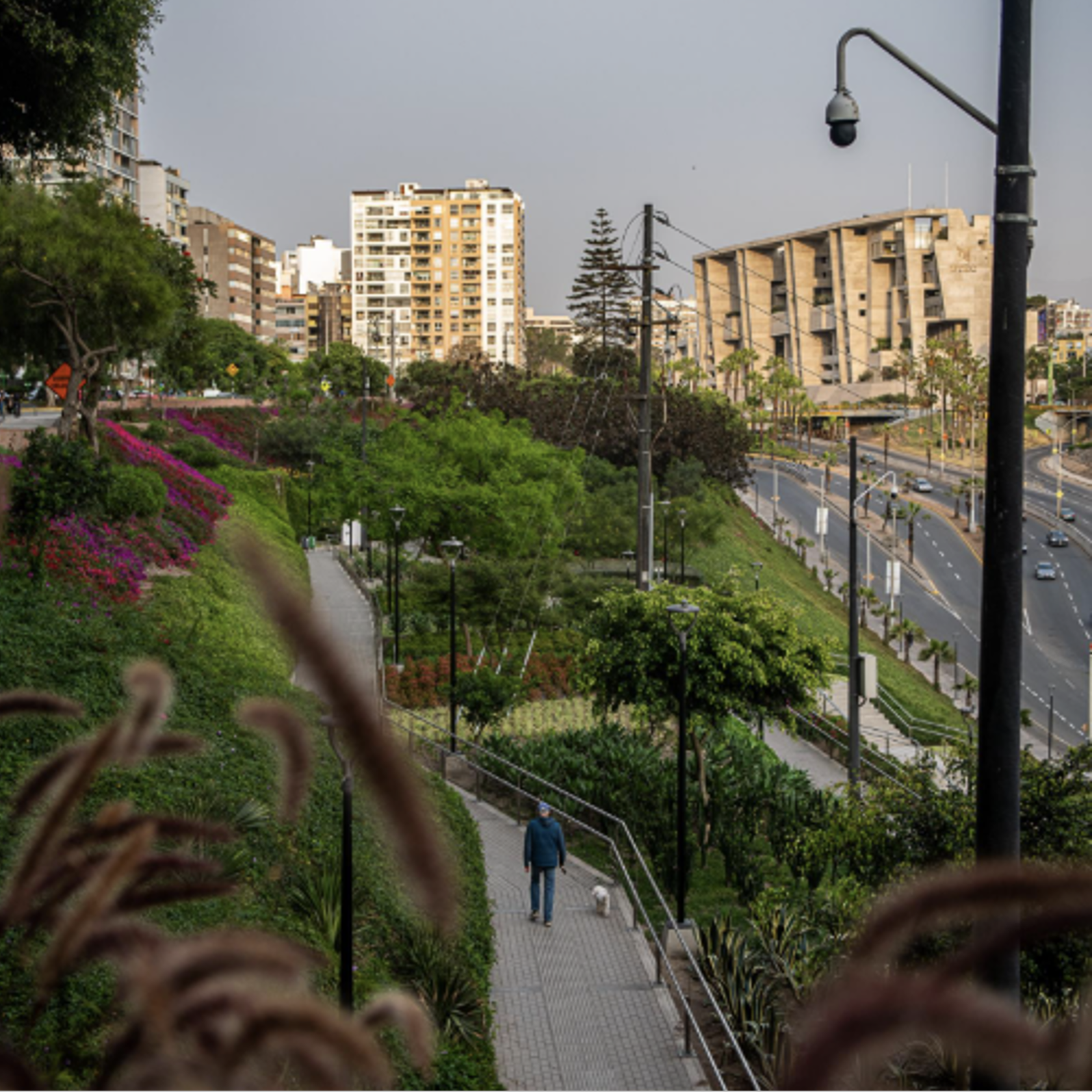 Figure 2: Photo of the Bicentennial Park in Miraflores. Photo: Philipp Montenegro 
