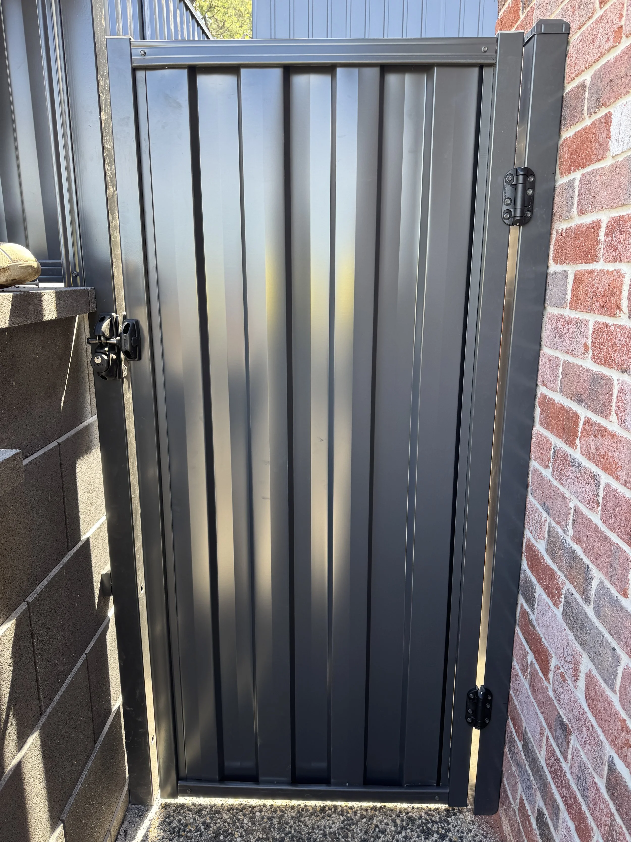 Steel Guard personal access gate 900mm x 1800mm