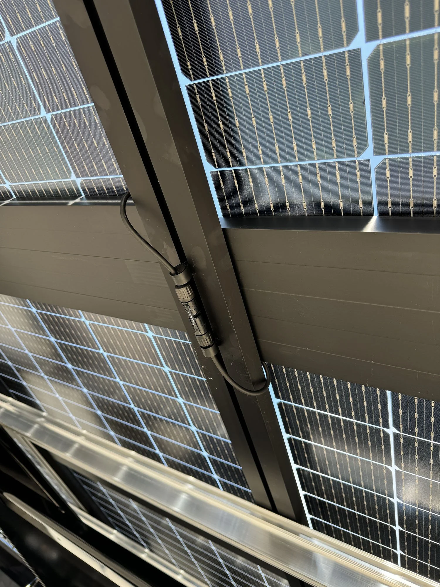 IMG_6994 2024-08-26 09_27_47.jpeg