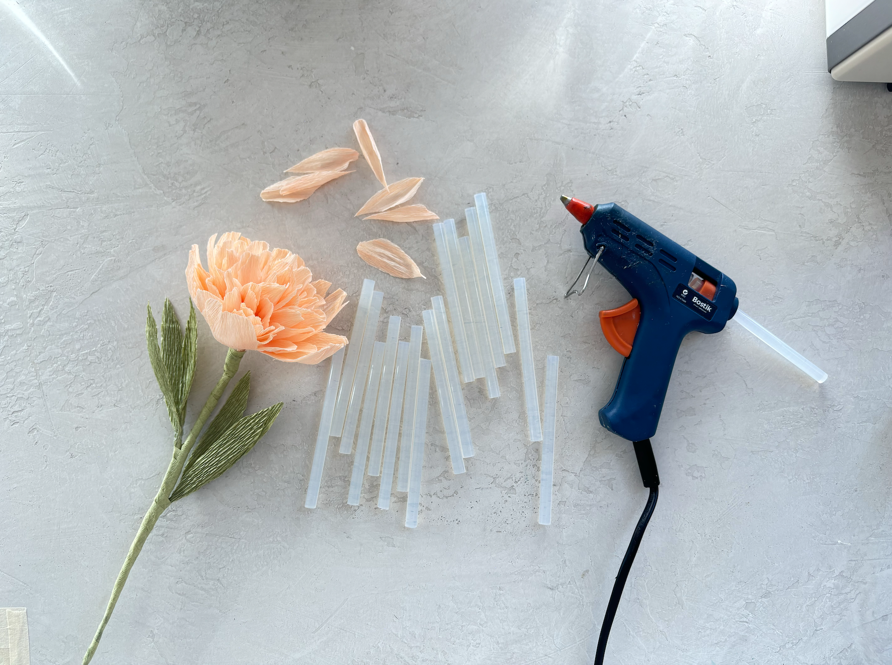 Screen Shot 2024-07-22 at 11.59.36 am.png