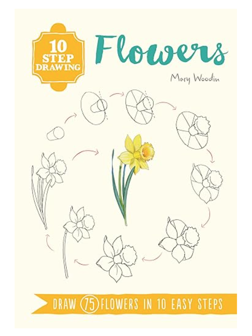 Screen Shot 2024-07-22 at 11.17.19 am.png