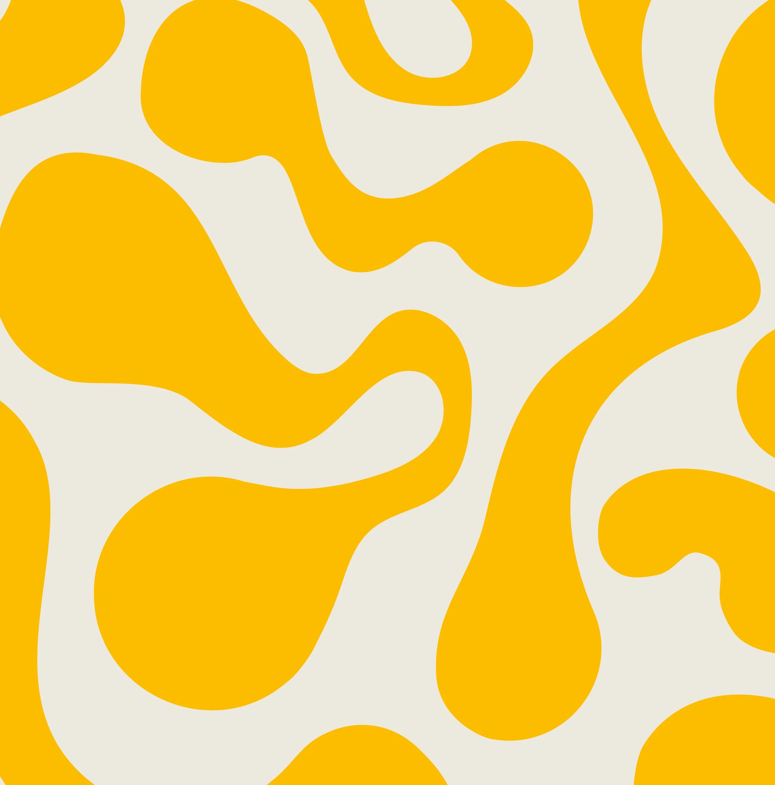 Baltic Triangle Book Club