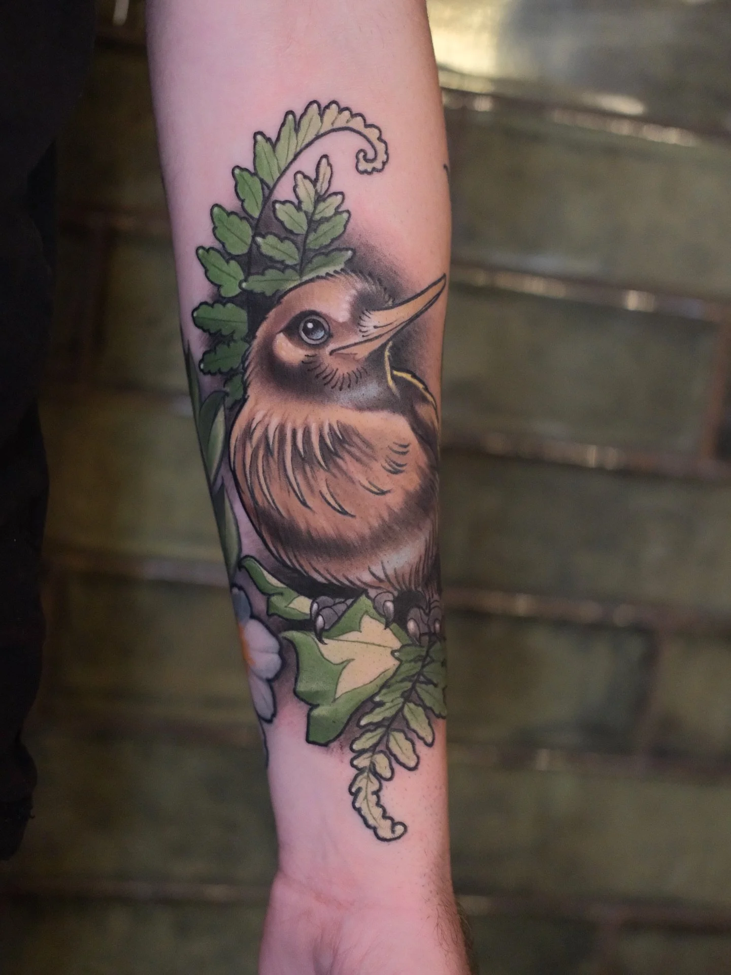 A little kiwi to join the robin 🥝🐦
This sleeve’s turning into a collection of birds from around the world — each one representing a place that’s special to my client.
The kiwi and fern for his New Zealand roots, and the robin on t
