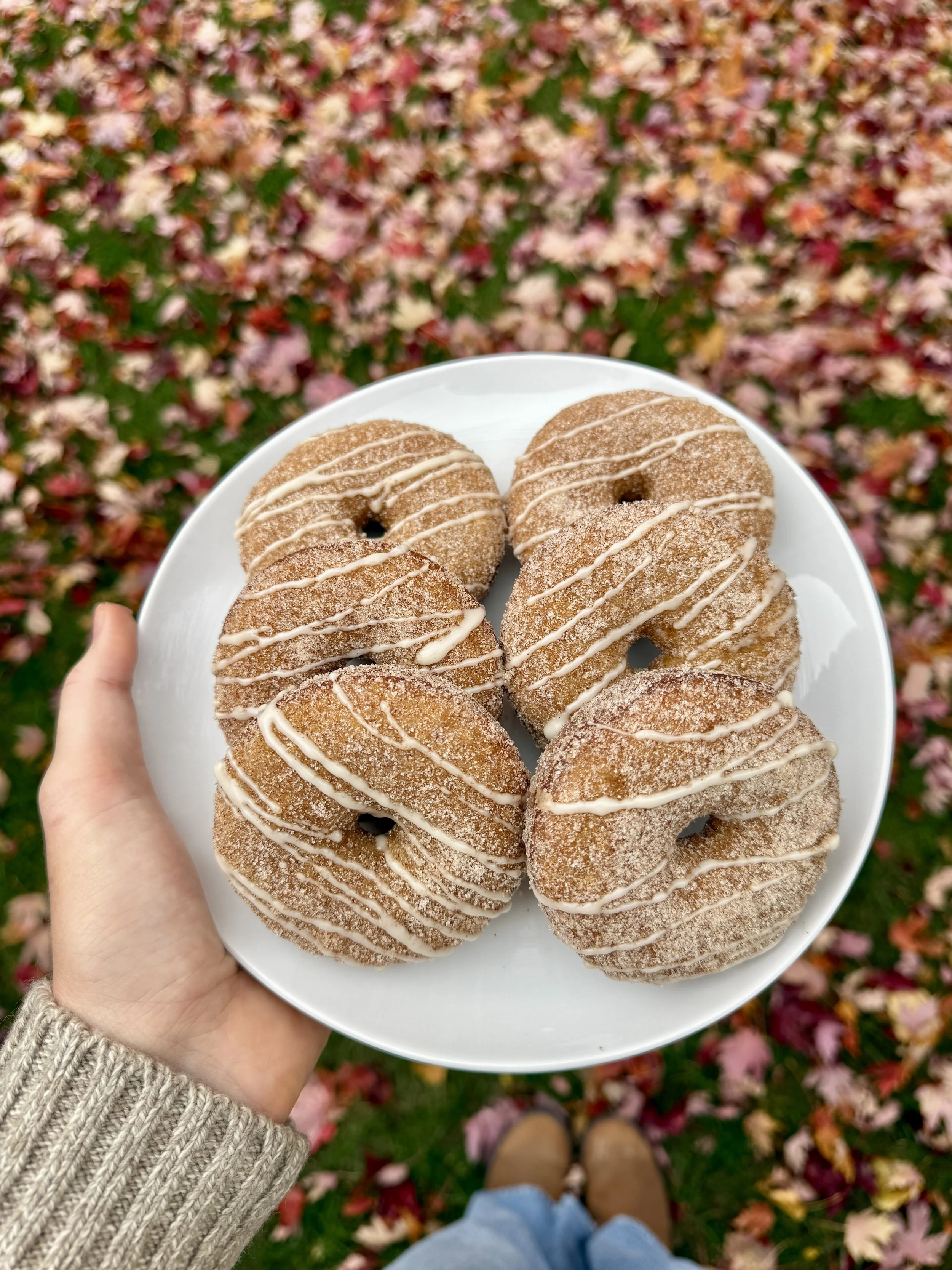Apple Cider Donuts 6 Pack