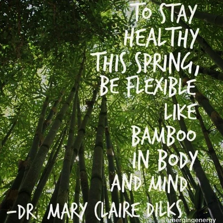 Spring, the Liver, and Hormonal Imbalance: Why this season can feel emotionally and physically intense