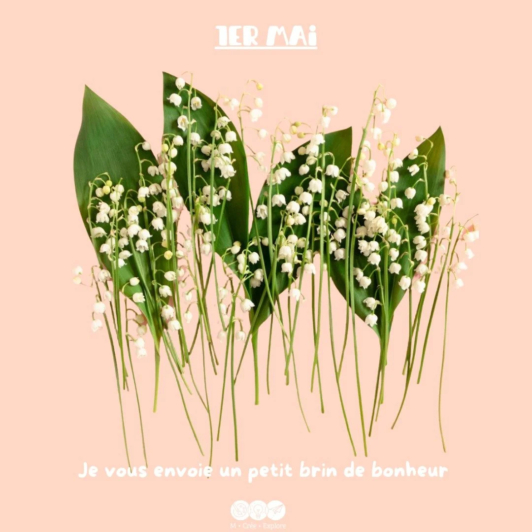 Un petit brin de douceur aujourd&rsquo;hui 🌿💛

M&ecirc;me si la tradition du muguet est surtout connue en France, j&rsquo;avais envie de vous partager ce symbole que j&rsquo;aime beaucoup&hellip;

Le muguet repr&eacute;sente la chance, la joie et l