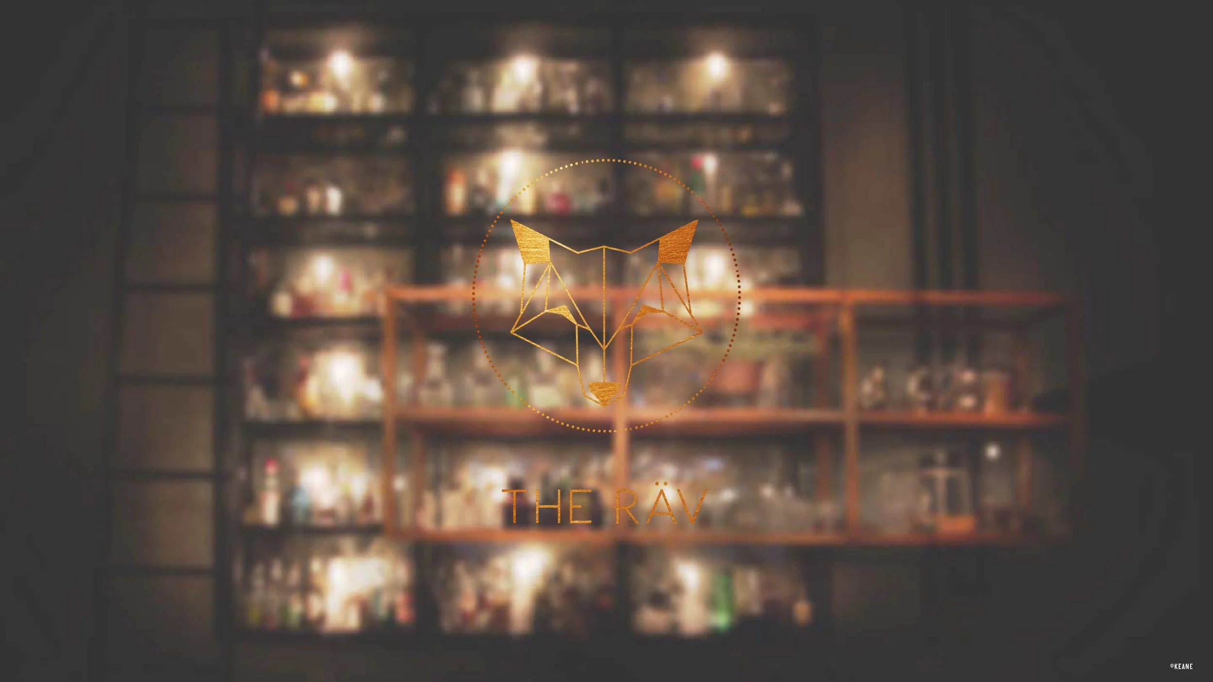 SCANDI_Branding_2D Presenter_FHV10-6.jpg