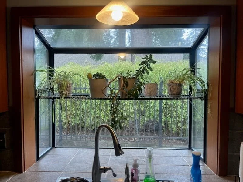 garden window 2.jpg