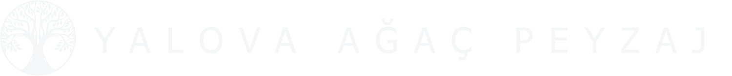 Yalova Ağaç Peyzaj