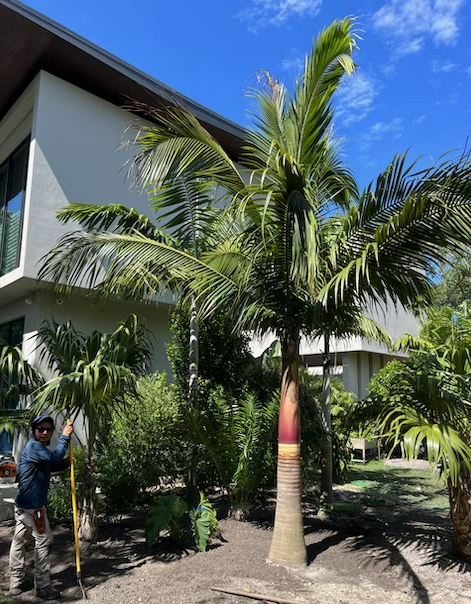 Screen Shot 2023-12-03 at 3.24.16 PM.png