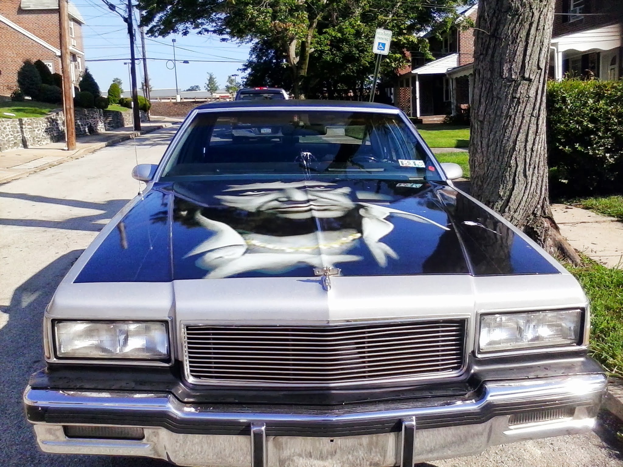 IMG_20130729_090400.jpg