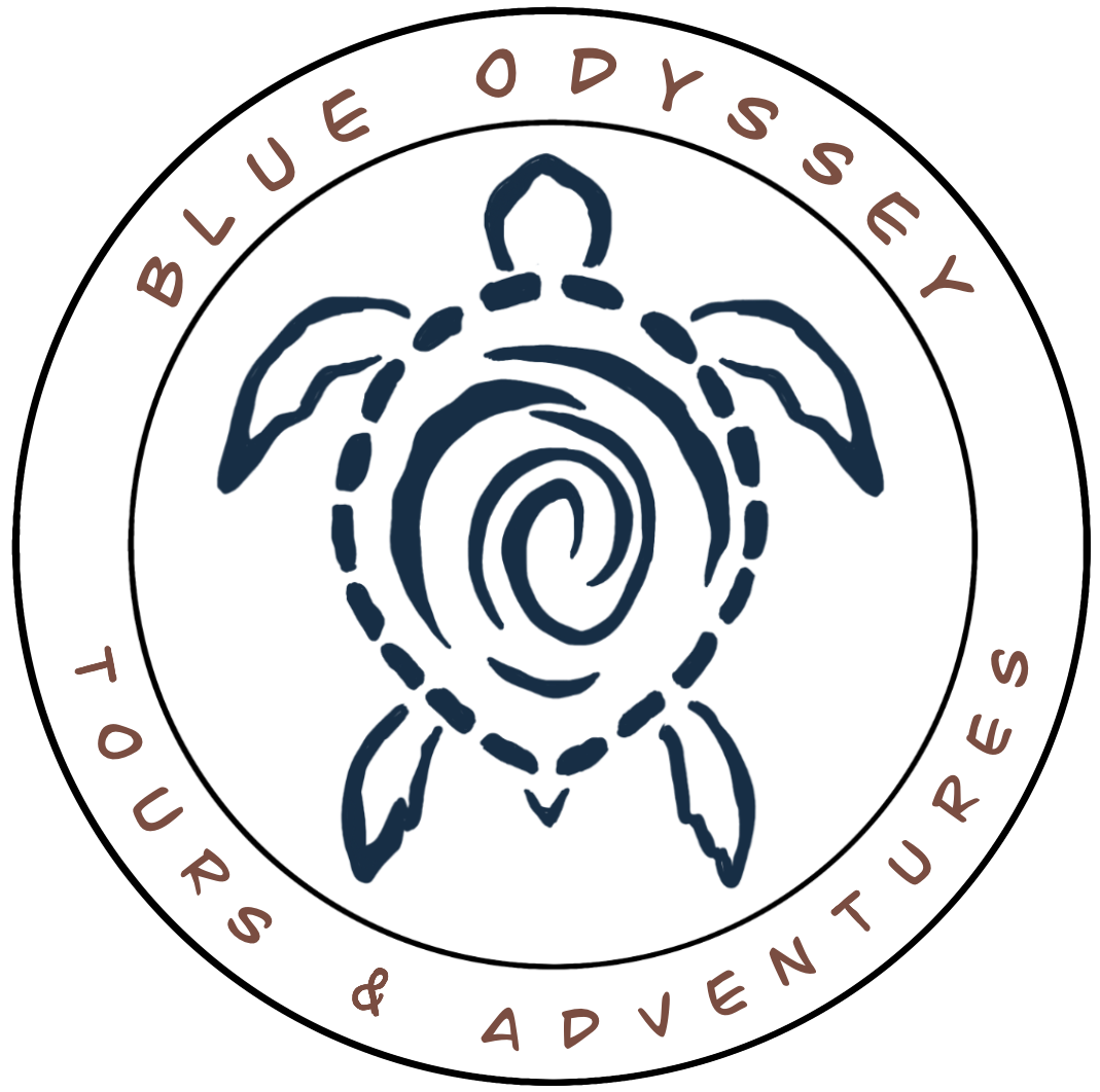 Blue Odyssey Snorkel Tours
