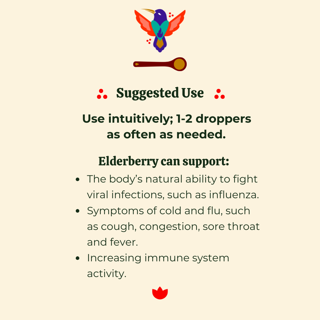elderberry tik tok 2.png
