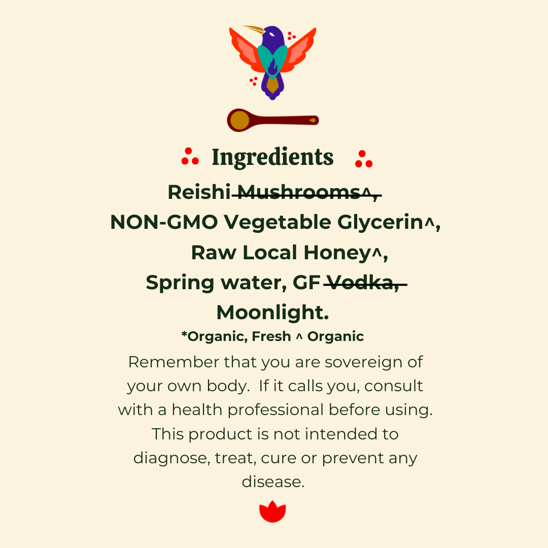 REISHI 3 TIK TOK.png