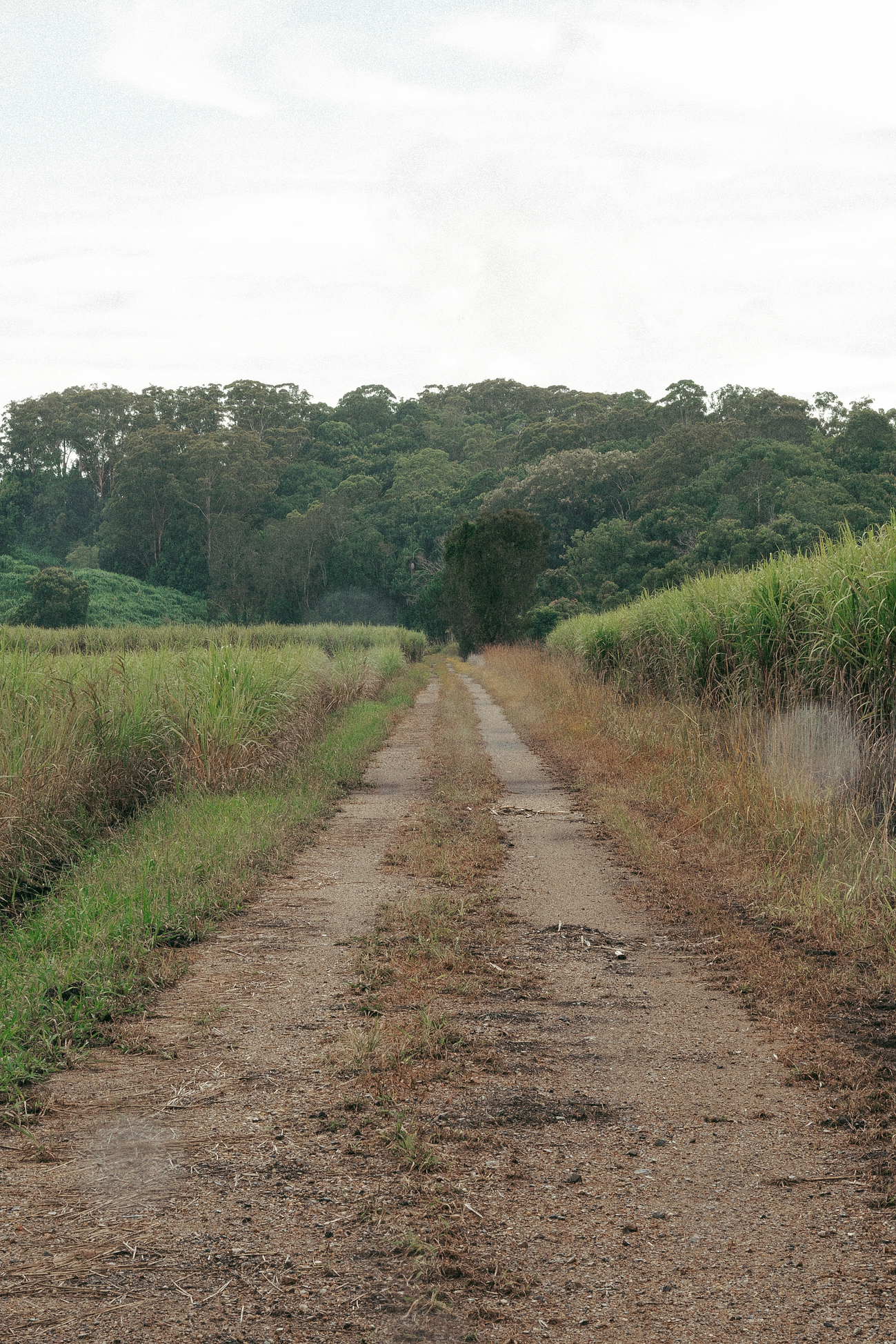 Living With the Land: Veganism Beyond the Plate