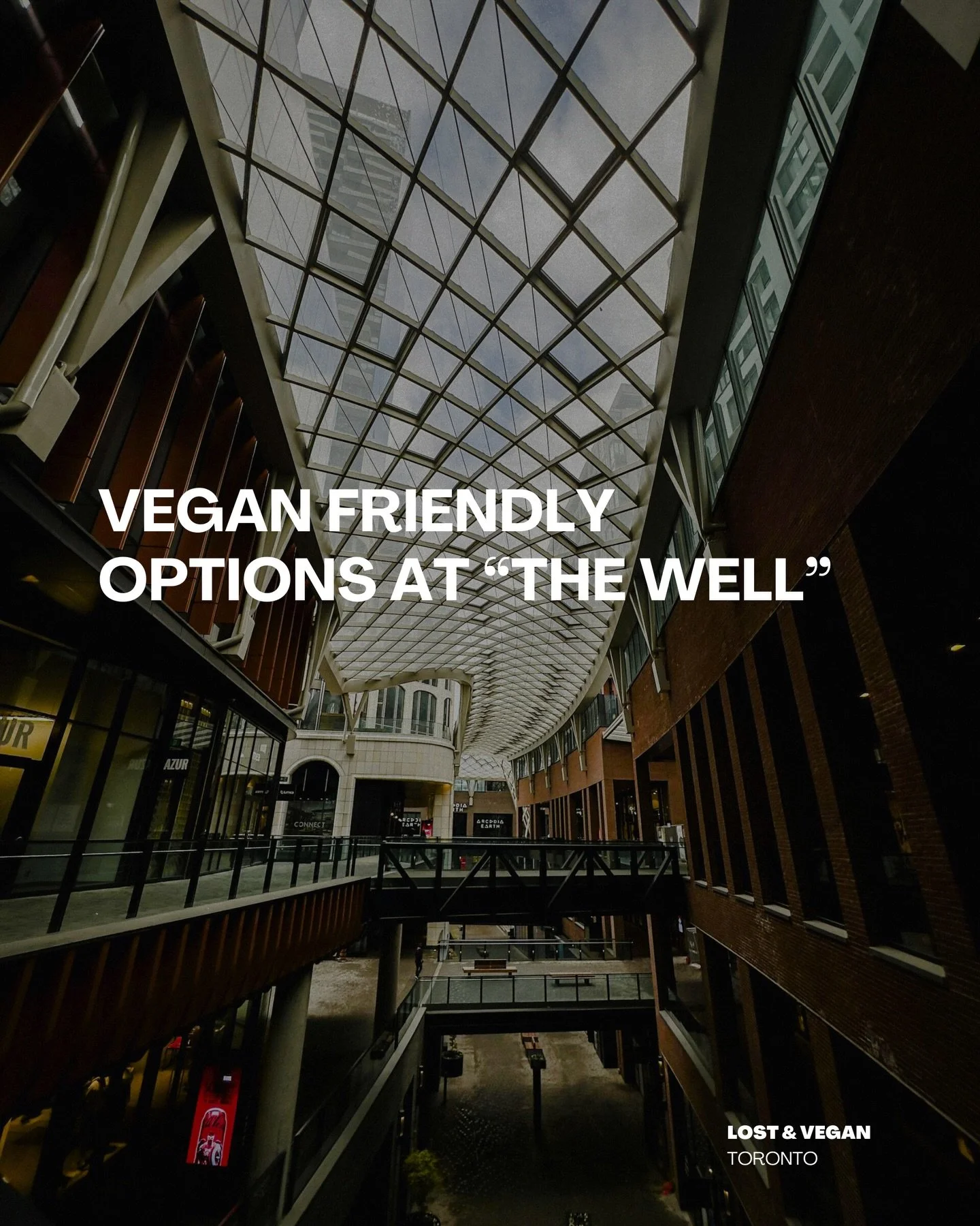 Some of our picks for vegan friendly eats at one of Toronto&rsquo;s favourite attractions @thewell_to 
 
#vegan #veganrestaurants #travelvegan #vegantoronto #veganhotdogs #vegansamosas #vegandining #dinnerspots #veganeats #lostandvegan #lostandvegana