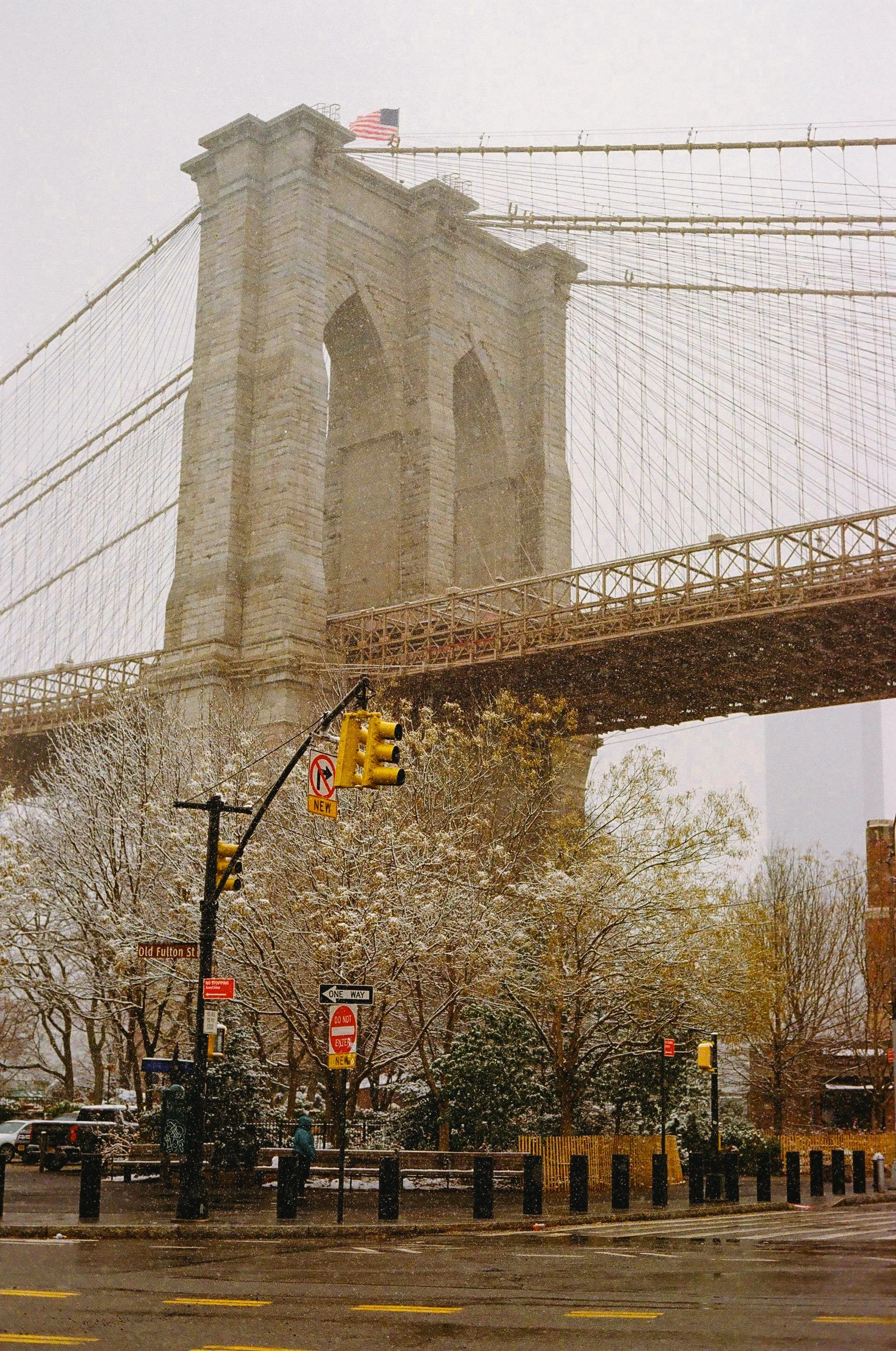 A (VEGAN) CHRISTMAS IN NEW YORK