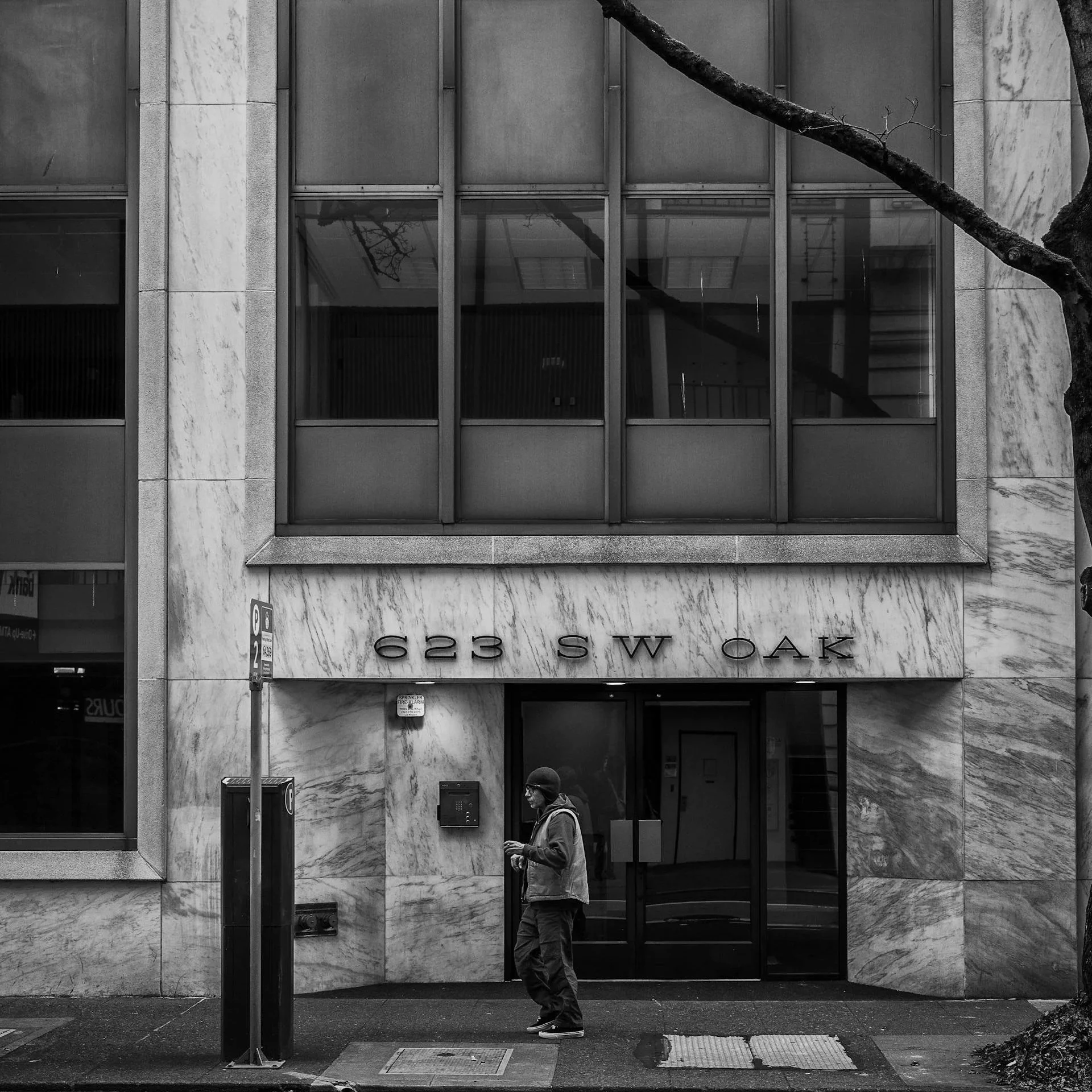 Vegan Friendly Restaurants in Portland 