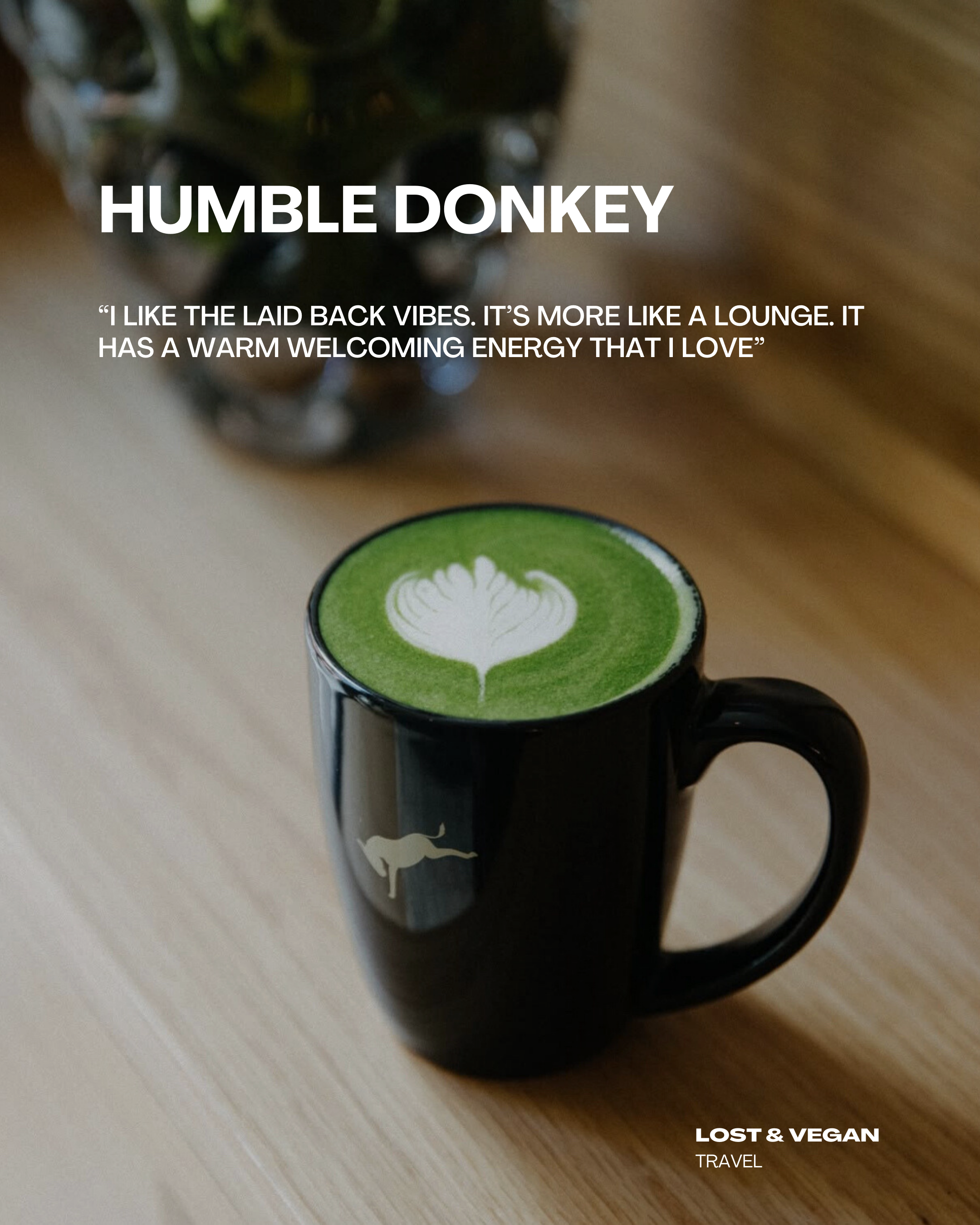 Humble Donkey café interior Toronto Financial District — cozy coffee shop