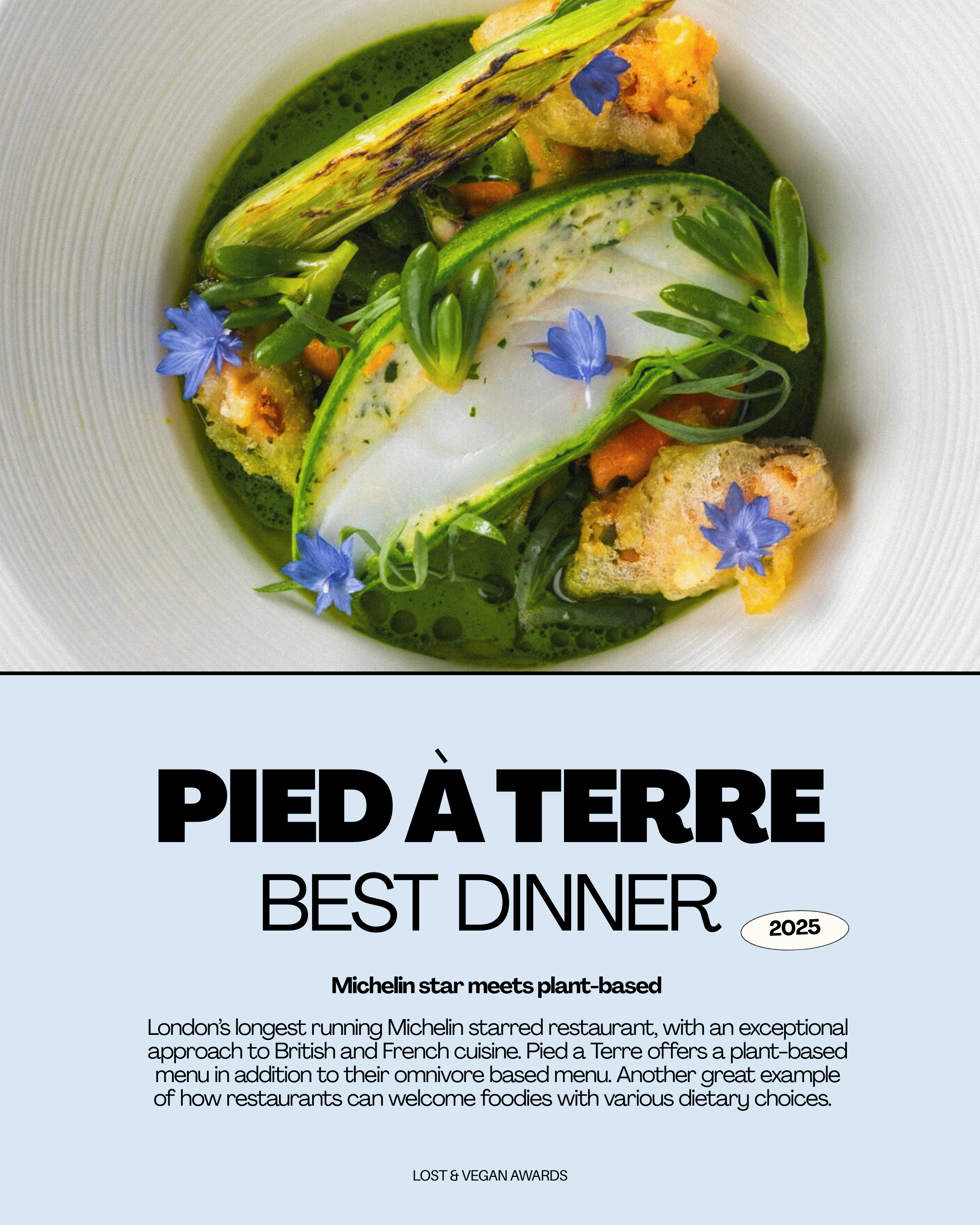 A beautifully plated plant-based dish with zucchini, asparagus, edible flowers, and green sauce.