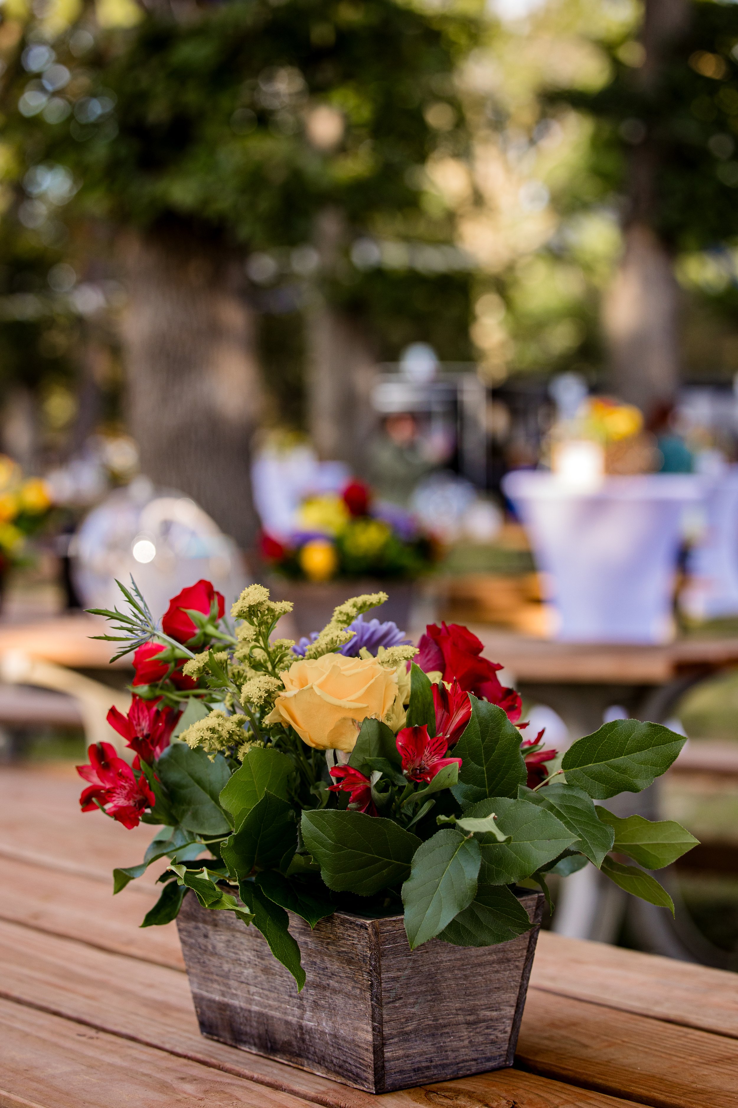 LEADDSM-ToastontheLawn-15.jpg