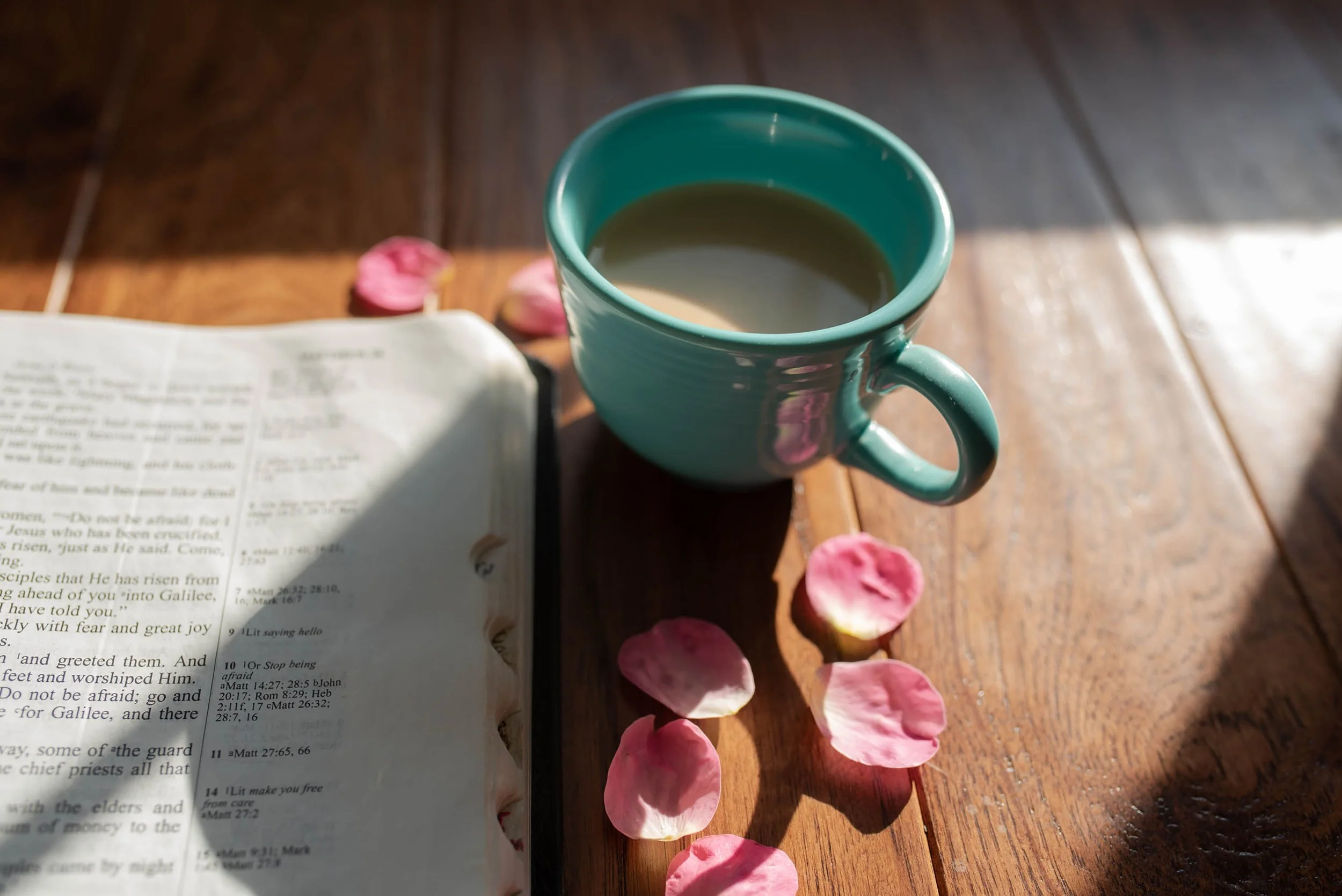 Women’s Bible Study