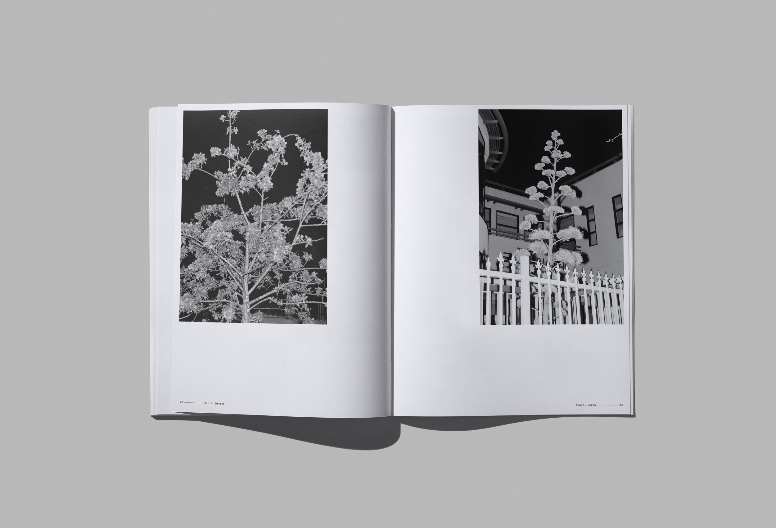 LatelyVol2-Spreads-02.jpg