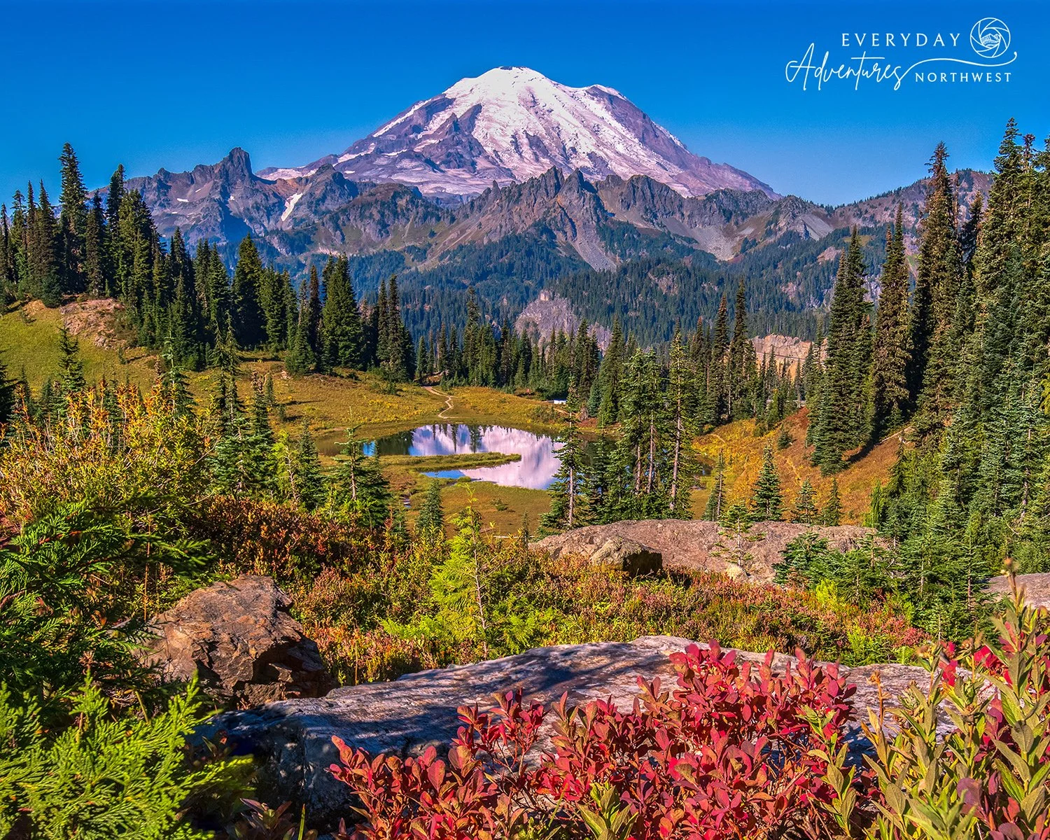 Tipsoo Lake Mount Rainier 2025 IMGP0034to46..5.1wm.jpg