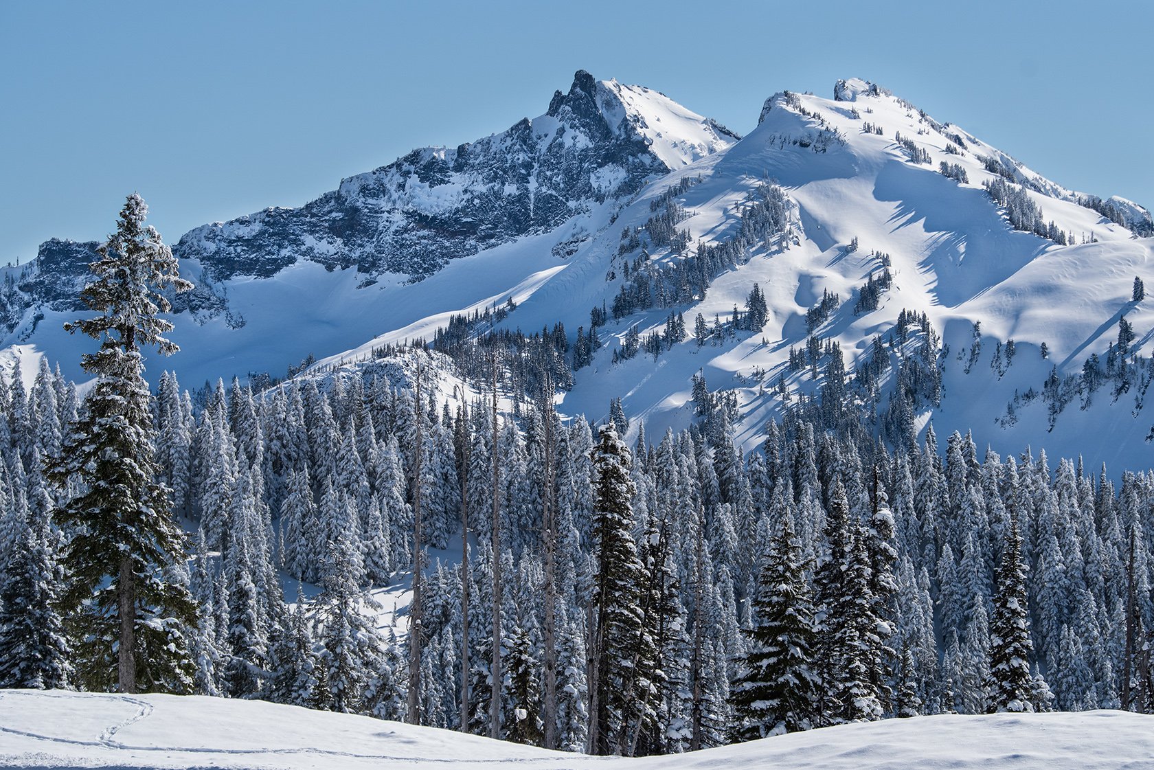 Tatoosh View