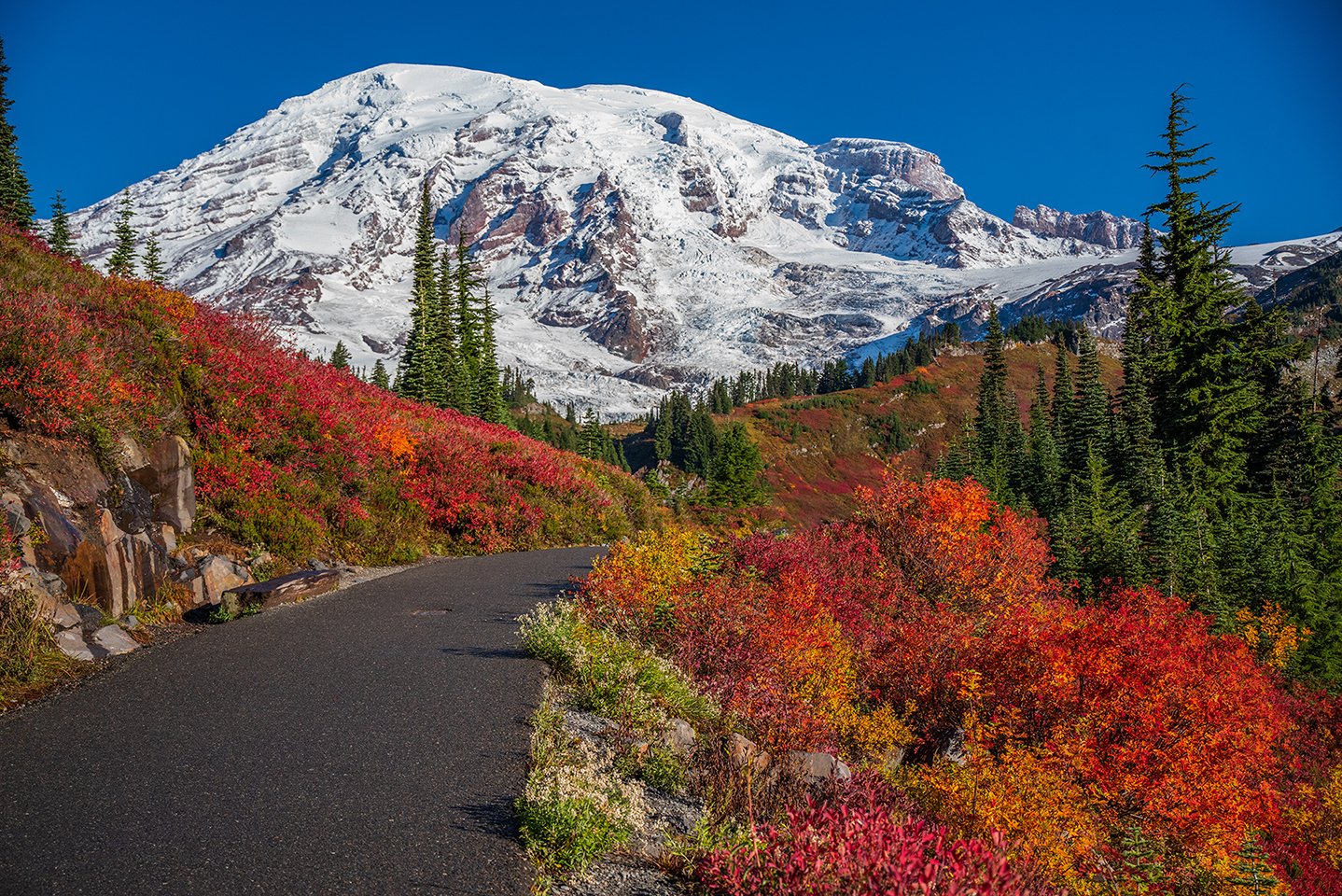 Autumn Trail