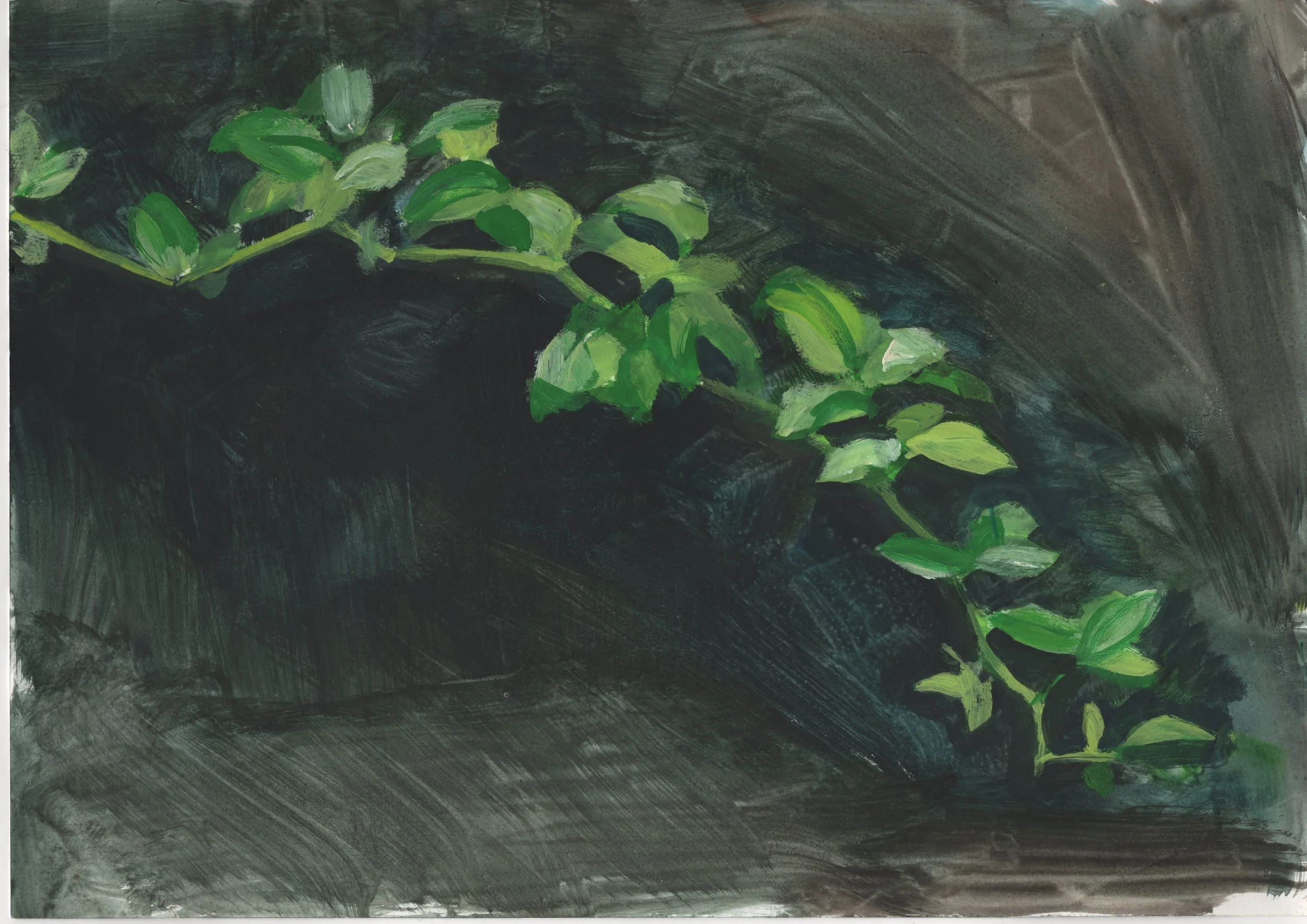 leaves, gouache, a4, paper.jpg