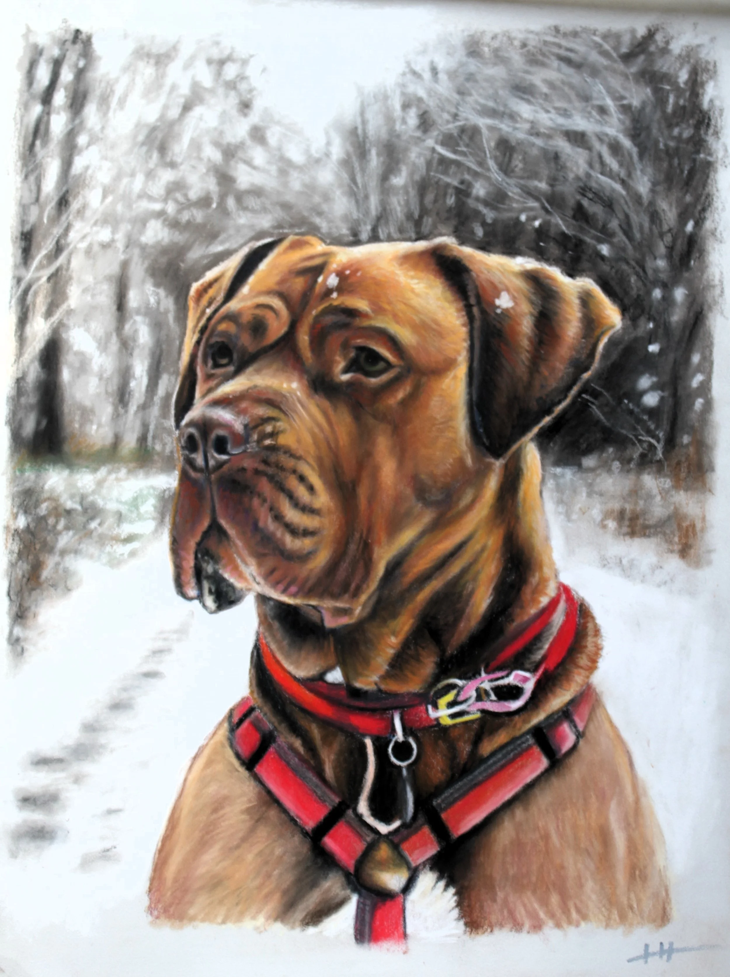 Branston, Soft Pastels on Pastelmat