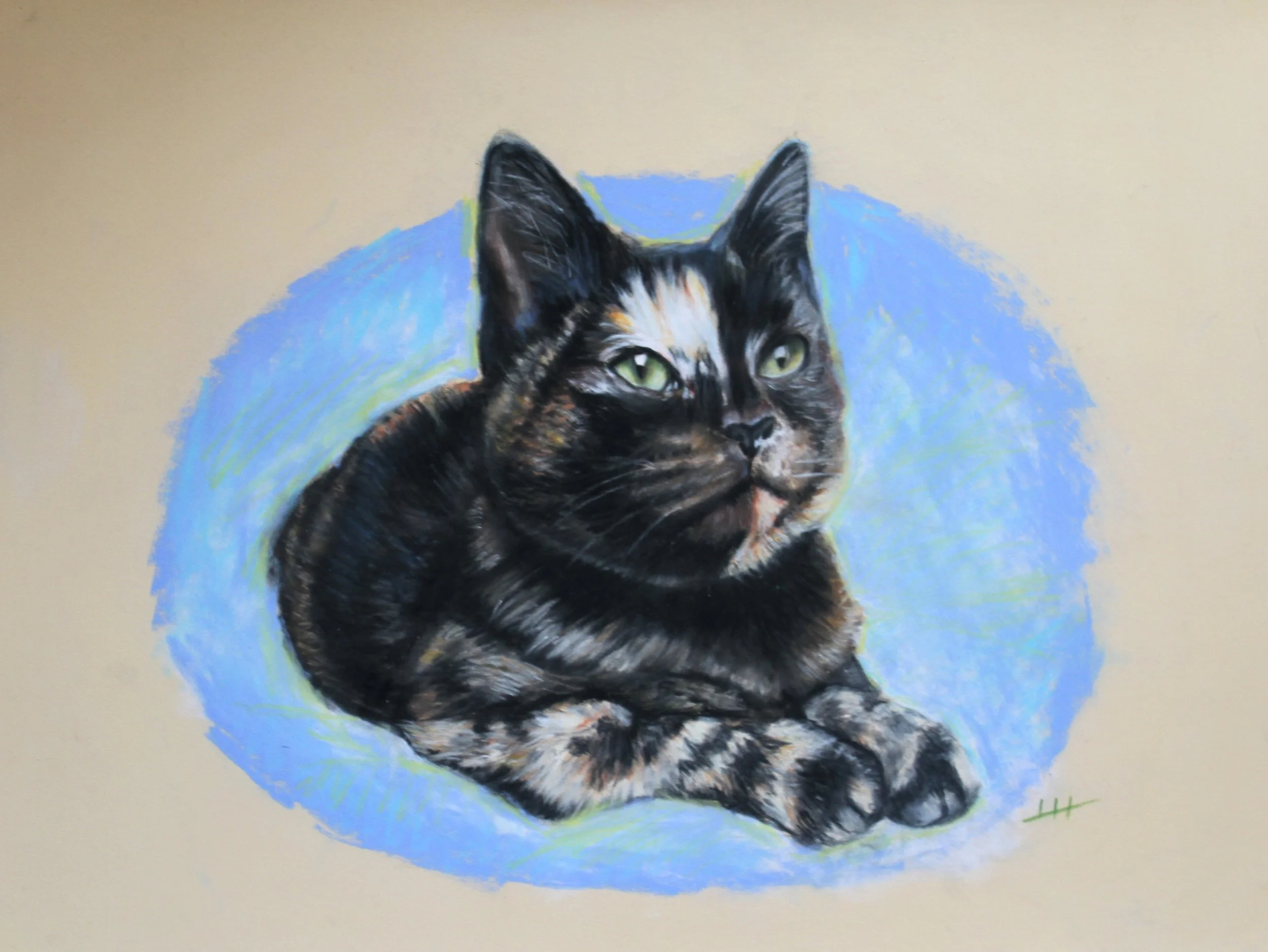 Matilda, Soft Pastels on Pastelmat