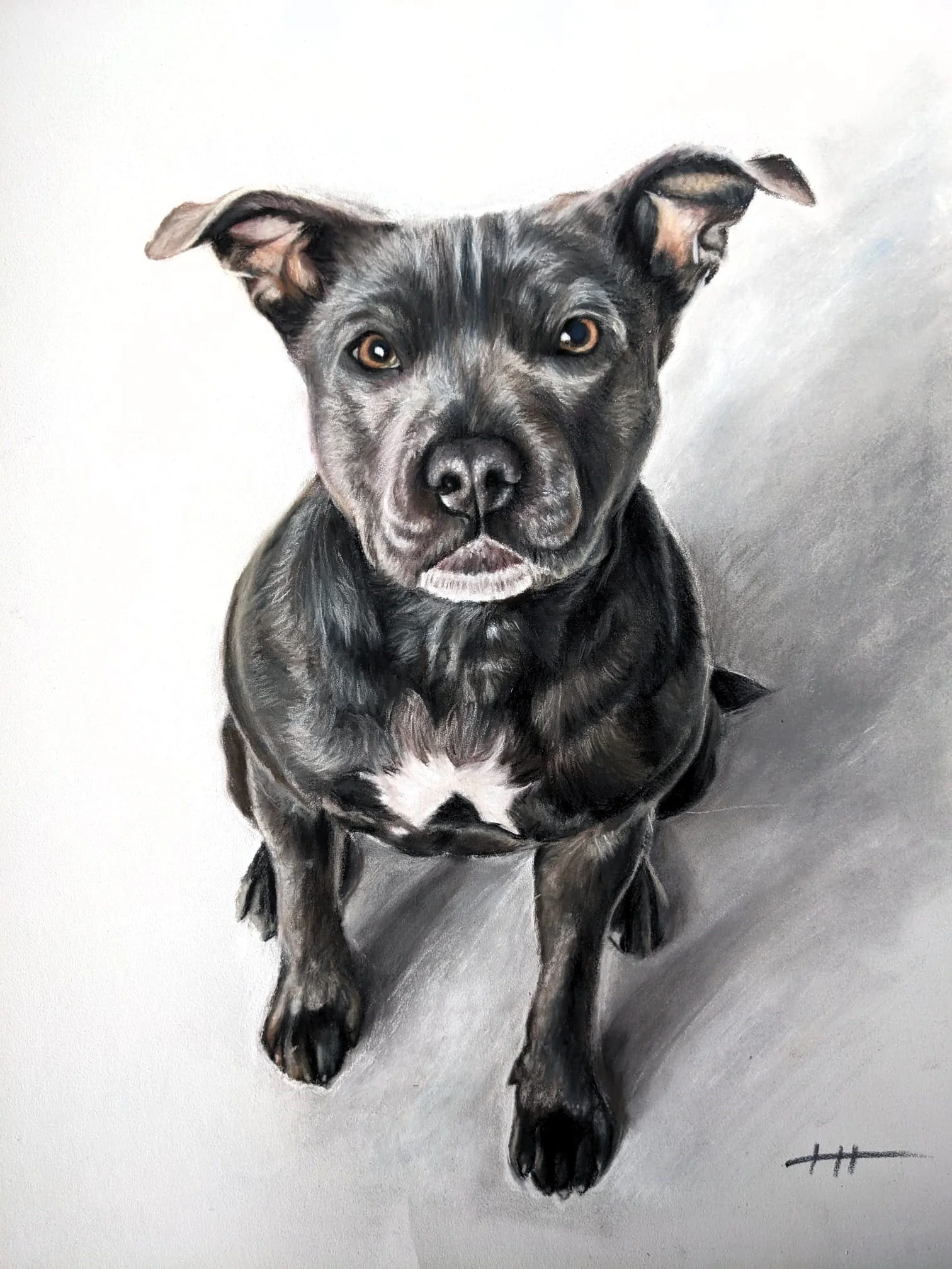 Peanut, Soft Pastels, 2023