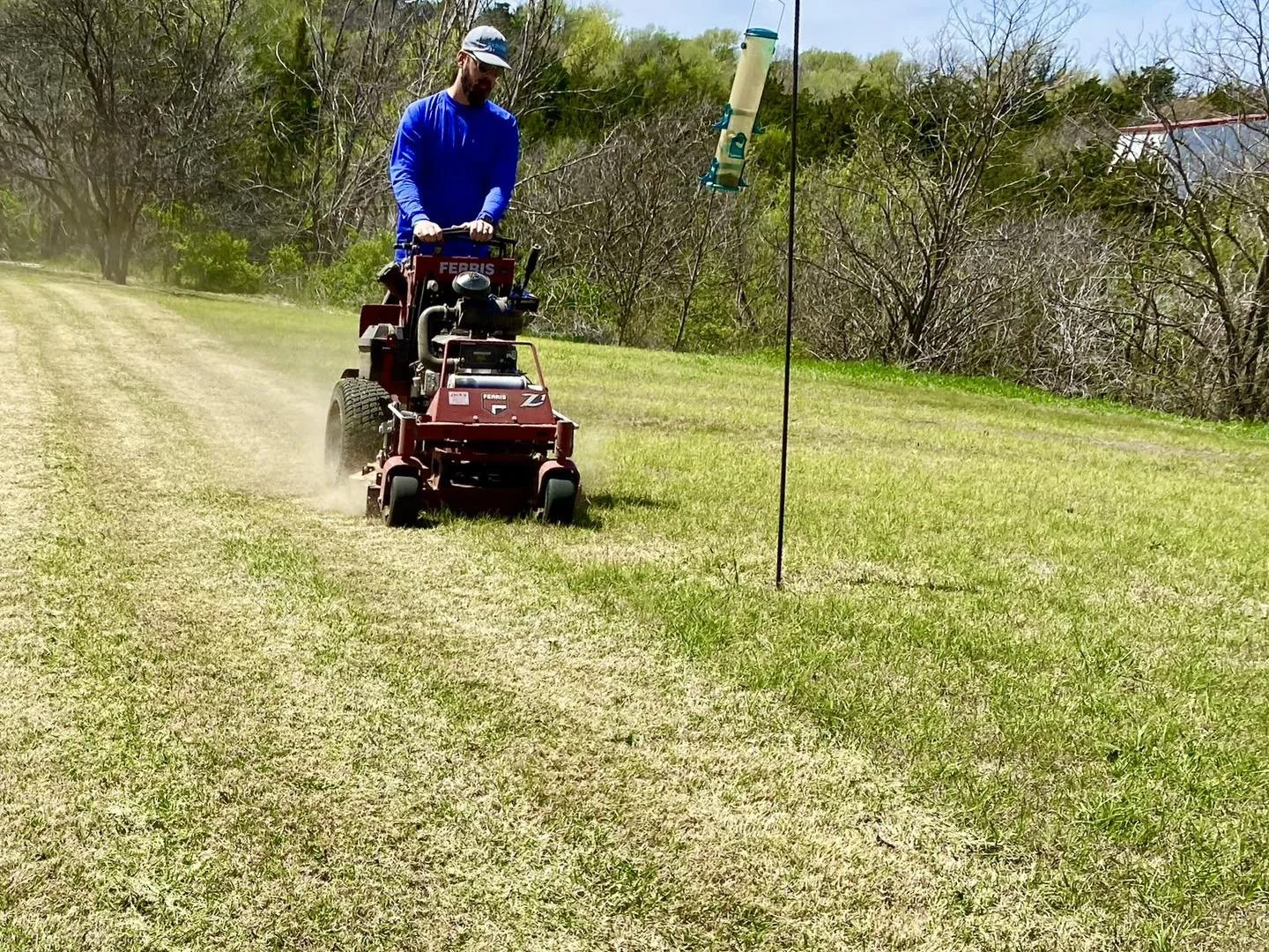 MOWING1.jpg