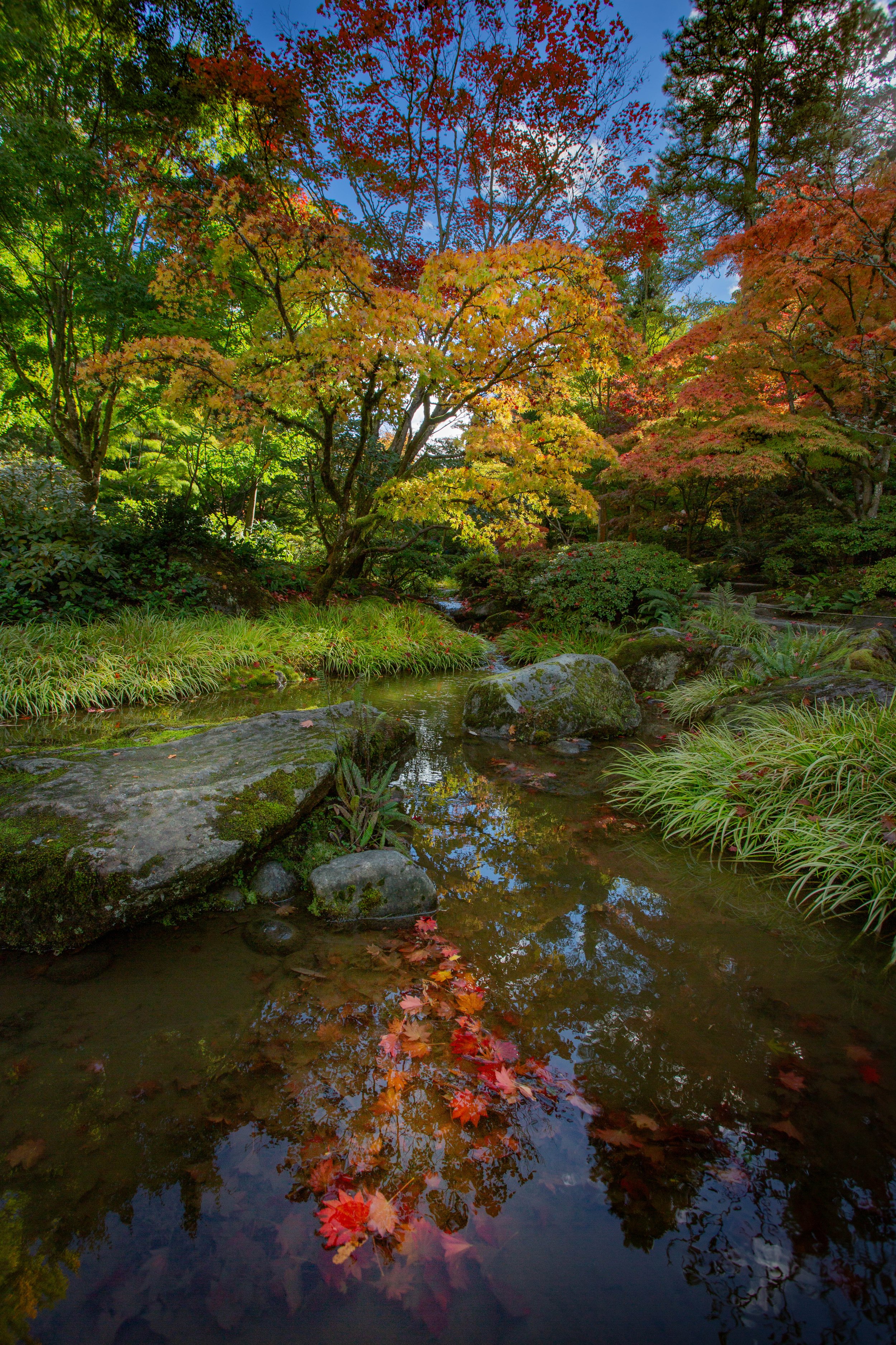 Japanese Garden Stream Web Ready.jpg