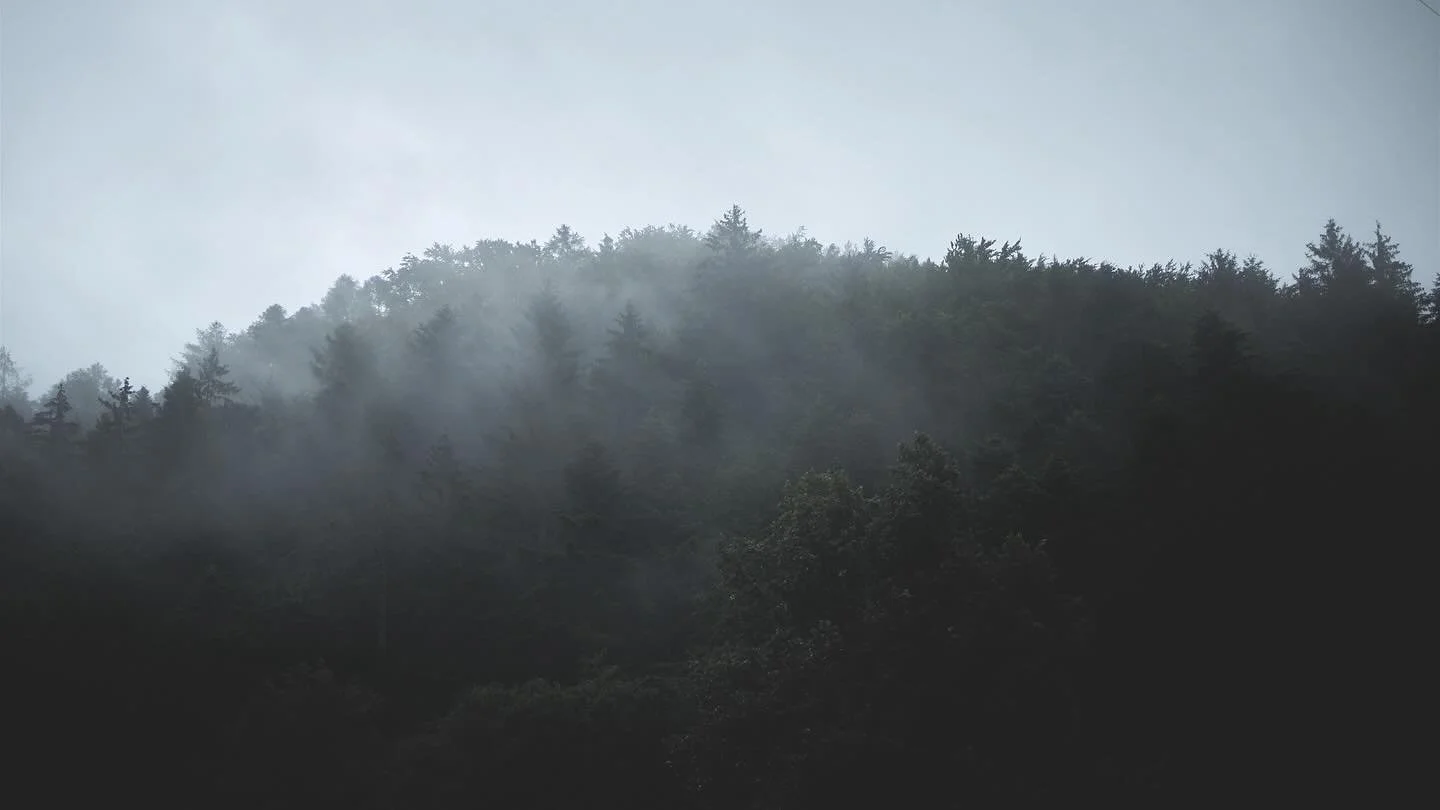 Carpathians.
.
.
.
.
.
.
.
.
.
.
#folkscenery #forestdeepness #darkart #folkvibenature #folkgreen #outdoorfilmy #filmphotography #folkgood #outdoortones #slovakia #paganism