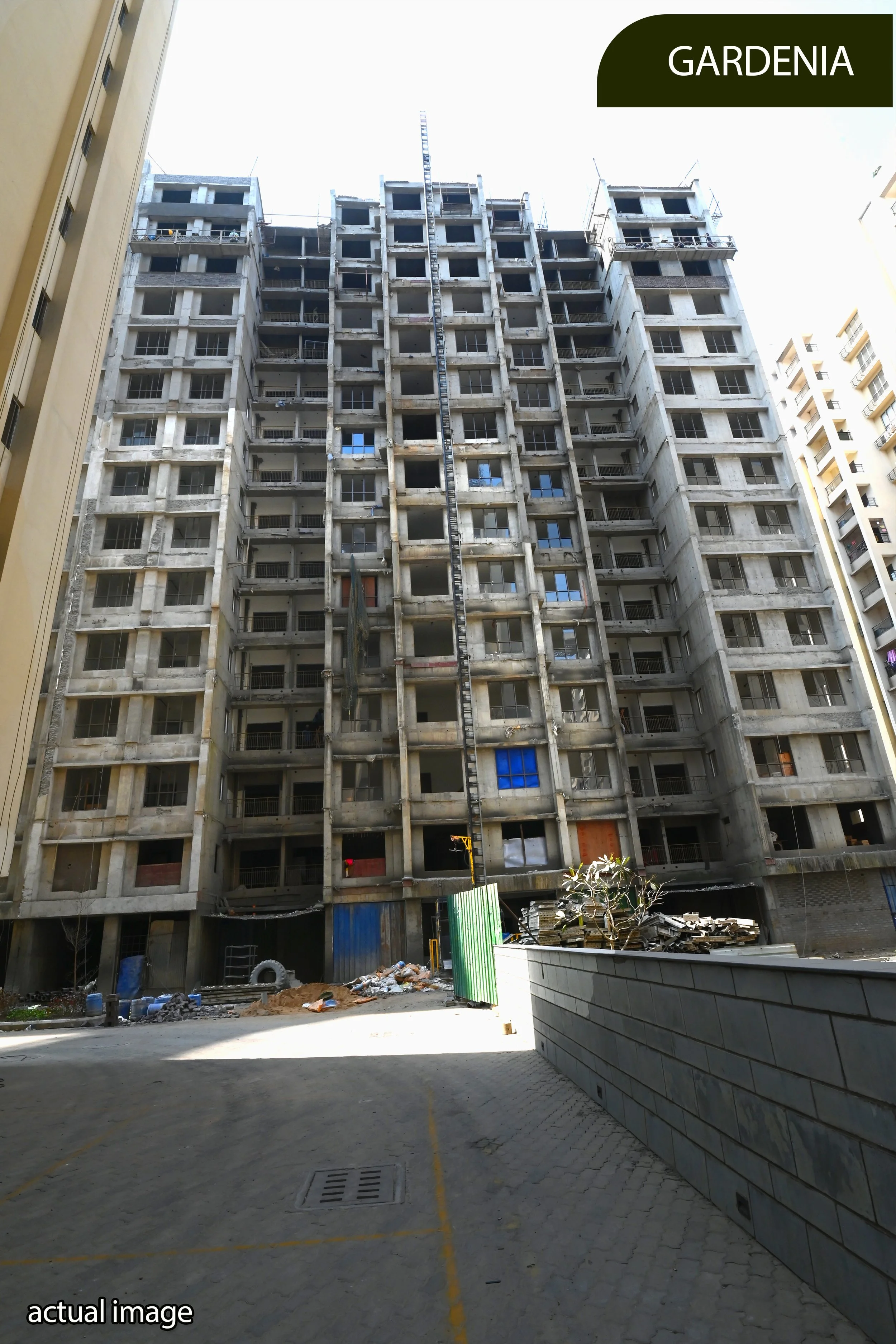GARDENIA.jpg