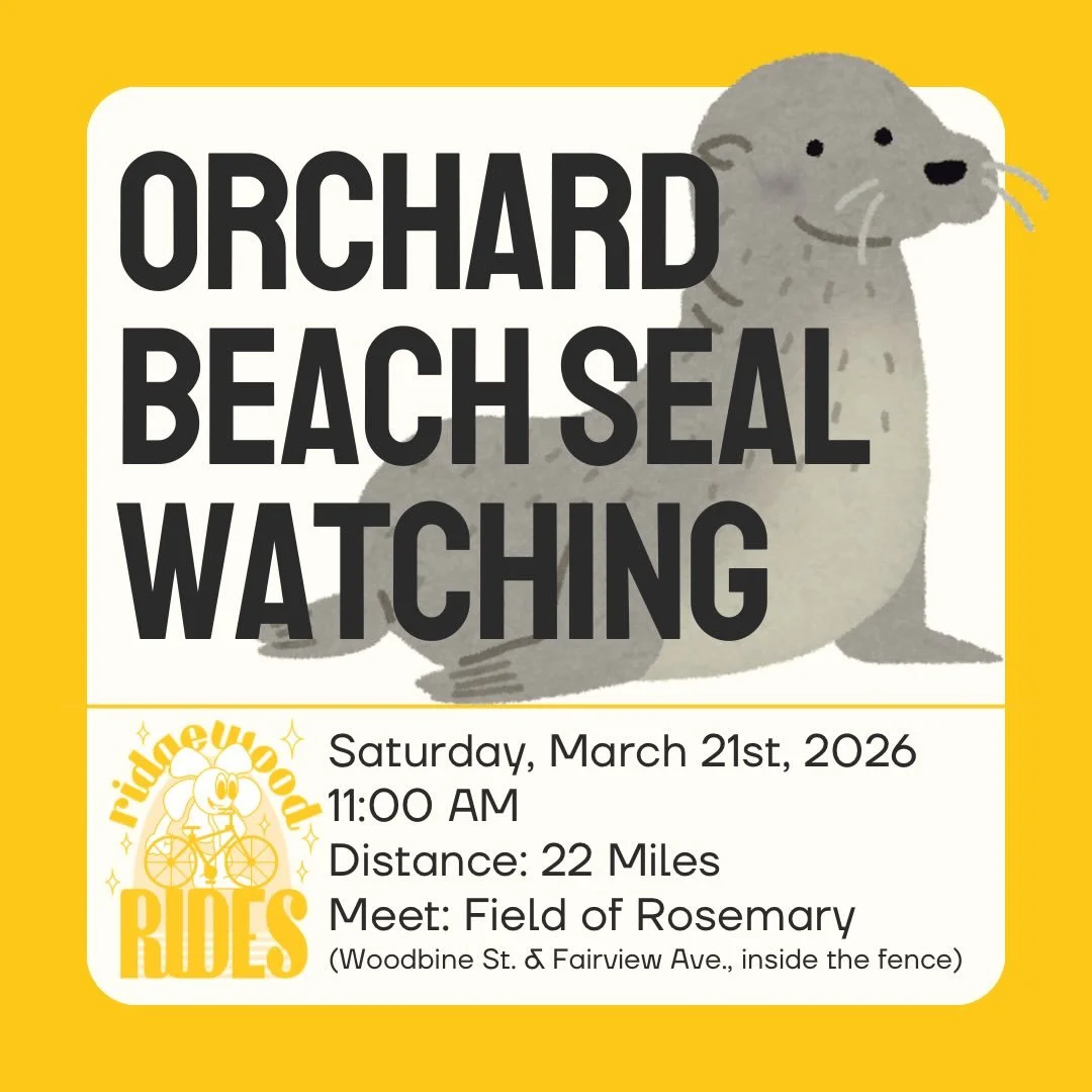 This Saturday, Ridgewood Rides continues to seek local wildlife with a ride to Orchard Beach for seal-watching season! 🦭 

We&rsquo;ll pass through Calvary Cemetery🪦 and Astoria before heading over the RFK Triborough Bridge 🌁 and Randall&rsquo;s I