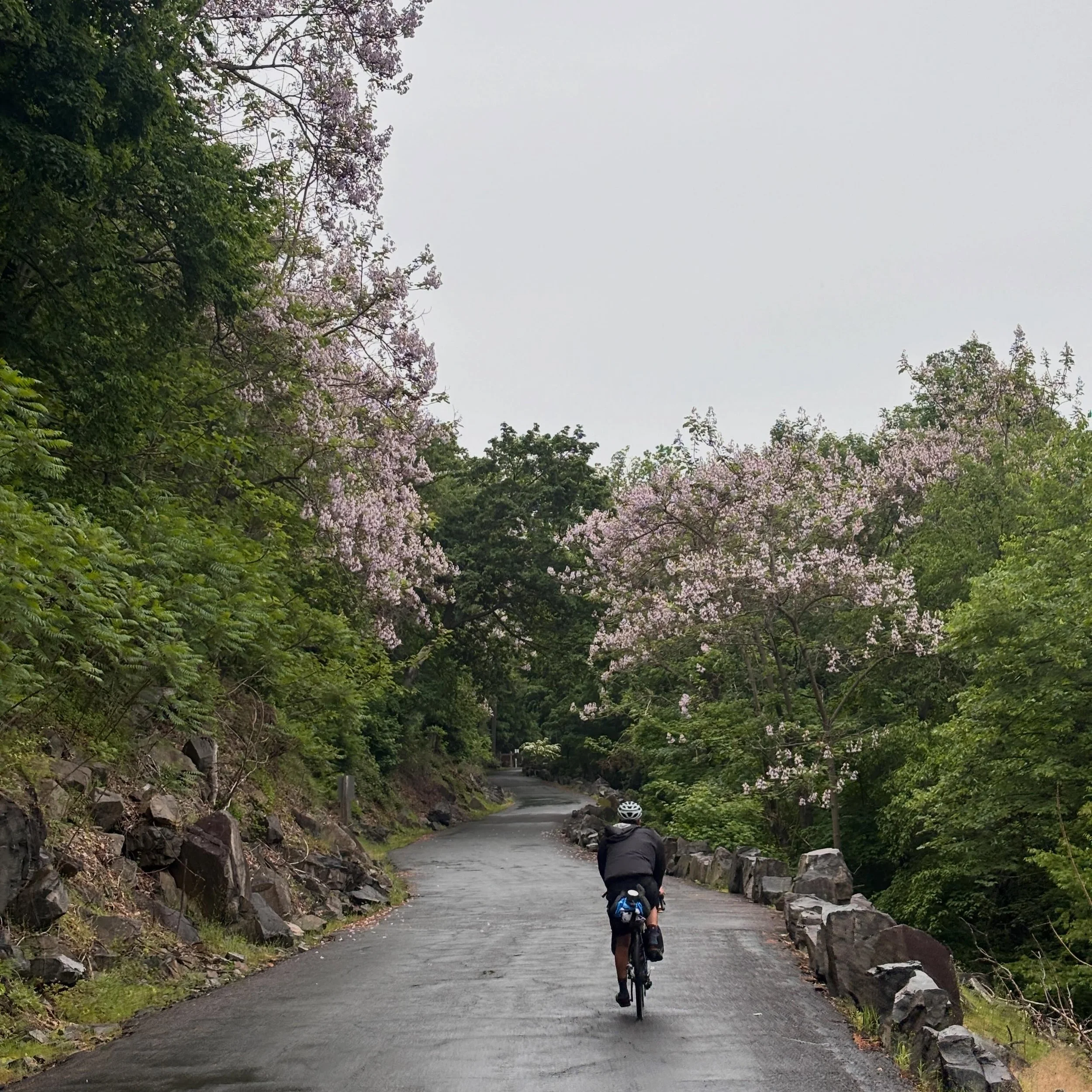 Ridgewood Rides had adventures large and small the last few weekends; from a bike camping trip to Harriman State Park in inclement weather on Memorial Day Weekend 🚲 🏕️ ☔️ to our second family-friendly ride with @ps290q_pta @ps290q last Saturday! 🧒