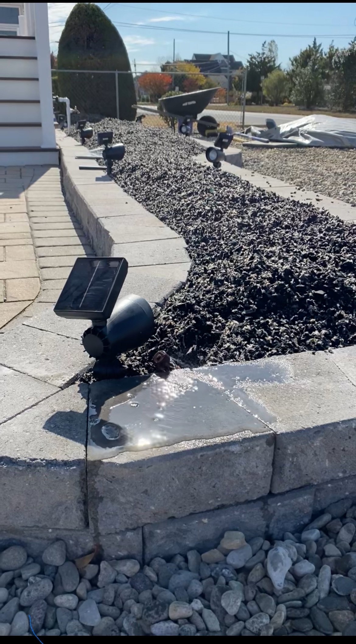 7.jpeg