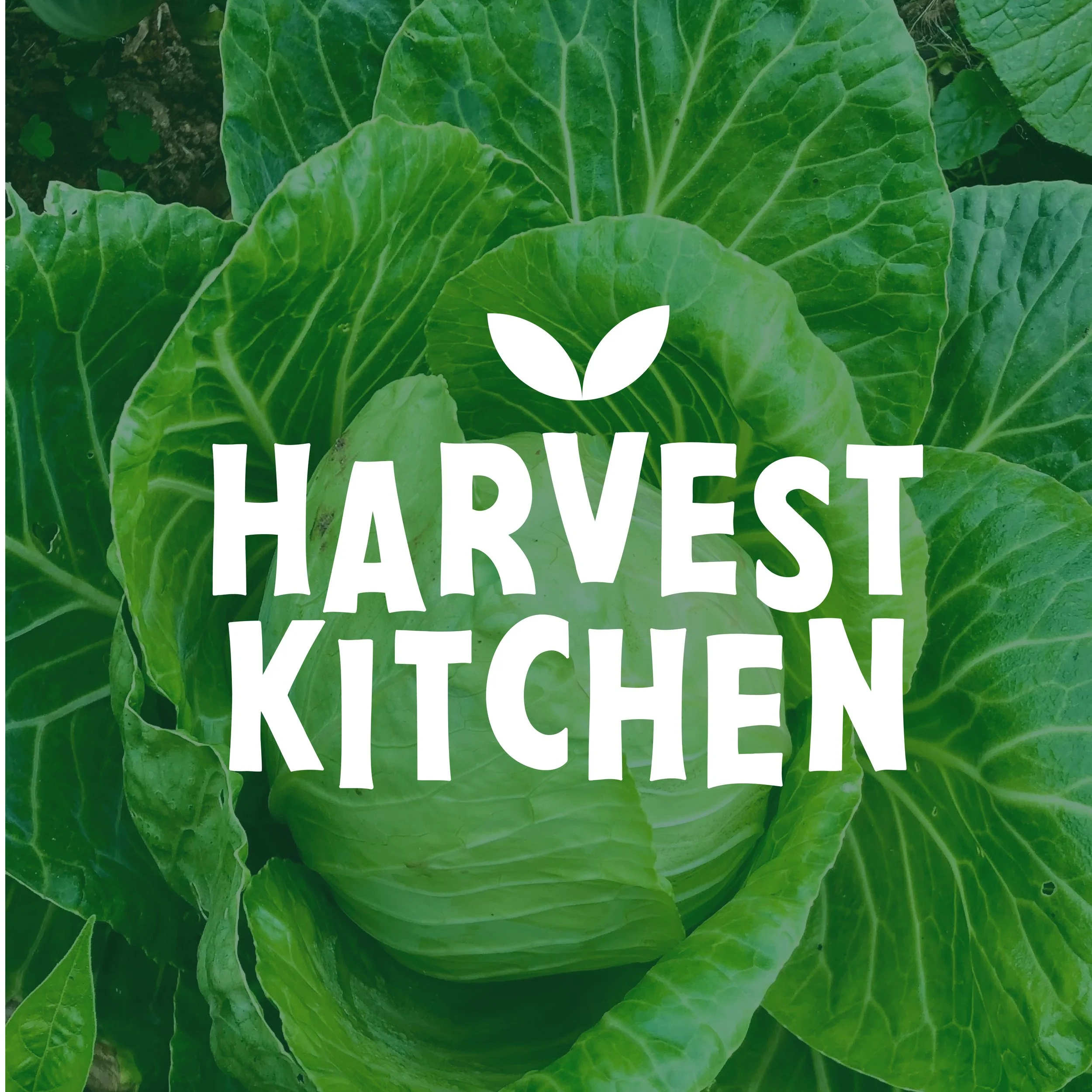 harvest kitchen-03.jpg