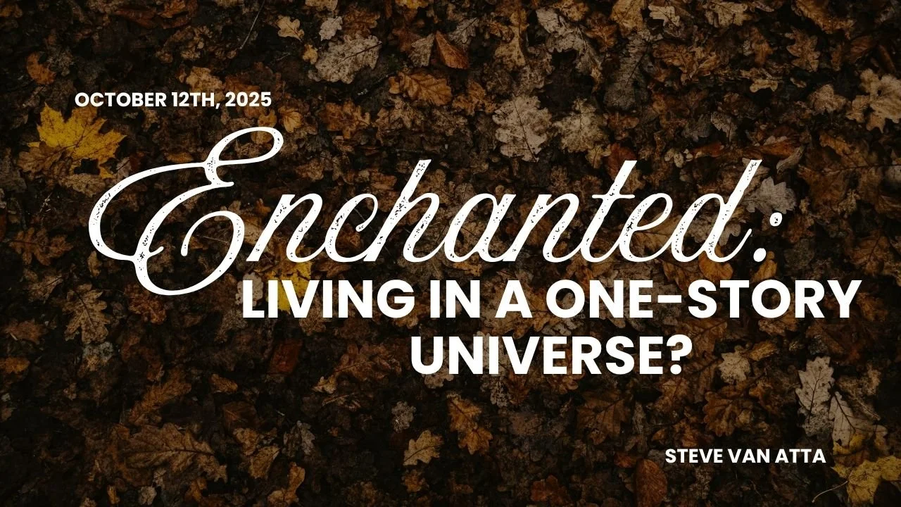 Enchanted: Living in a One-Story Universe? w/ Steve Van Atta