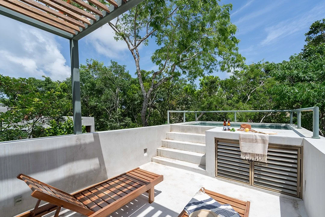 Alberca roof  C.jpeg