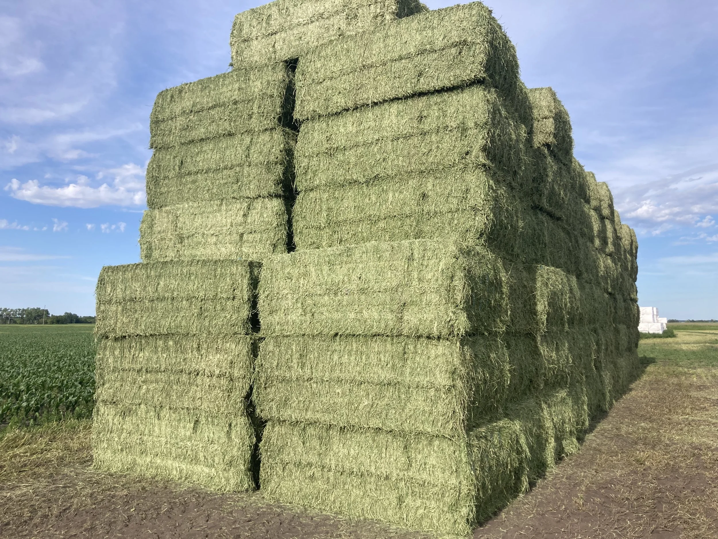 Hay and Harvest