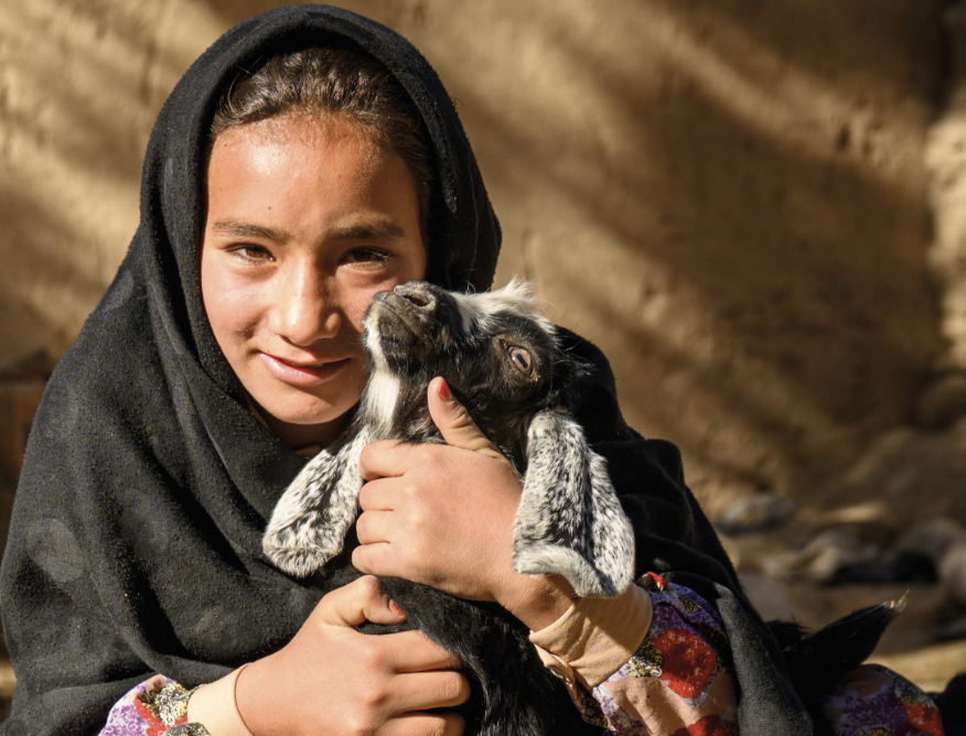 Country spotlight - Afghanistan